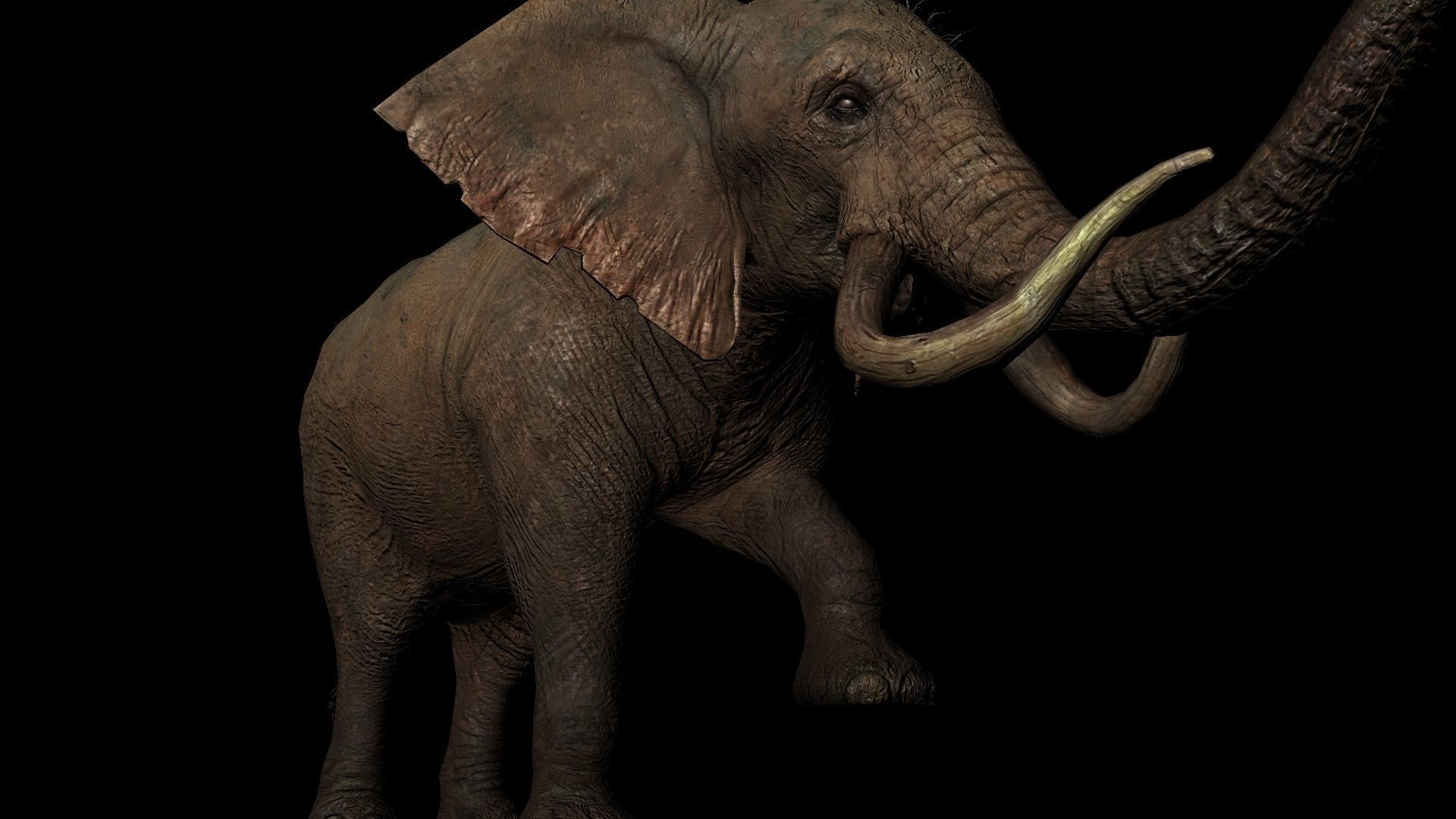 Rigged ELEPHANT Low-poly 3D model_3