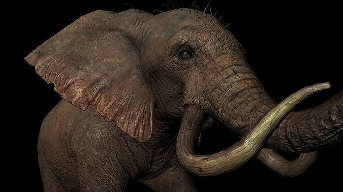 Rigged ELEPHANT Low-poly 3D model
