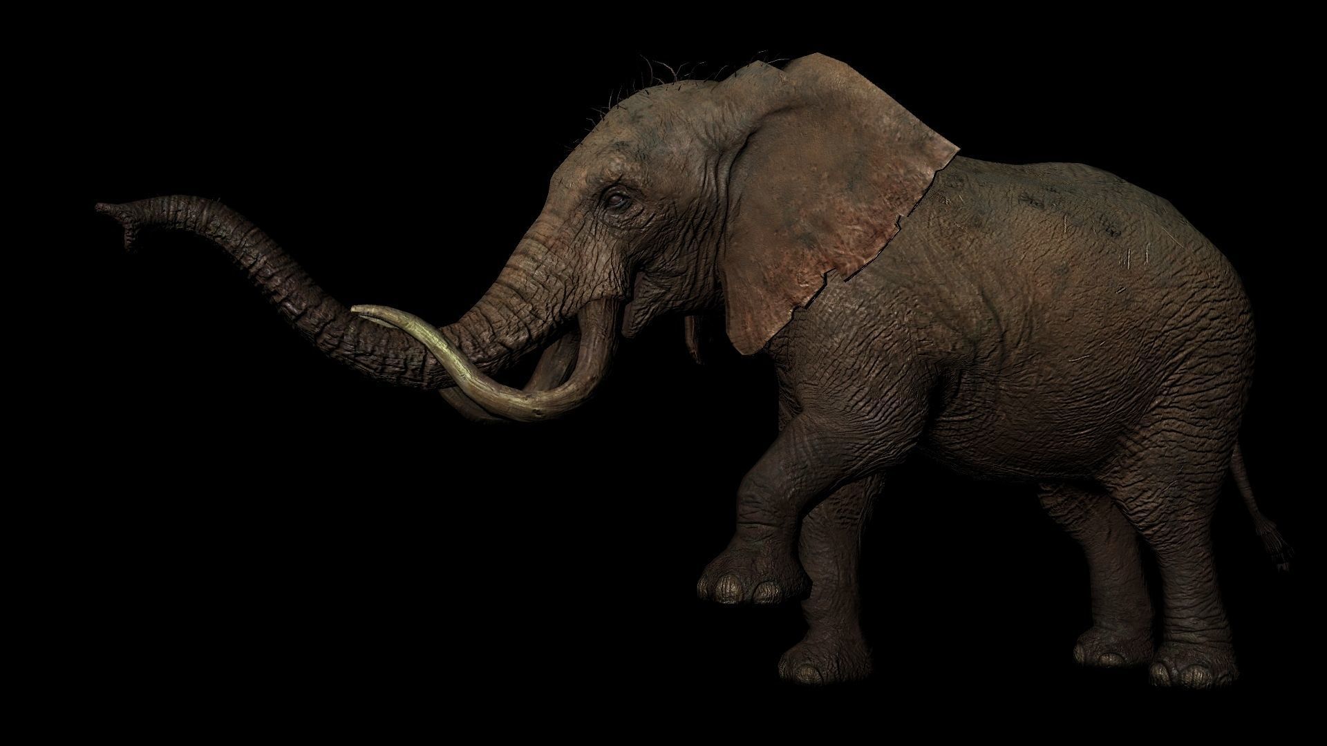 Rigged ELEPHANT Low-poly 3D model_1