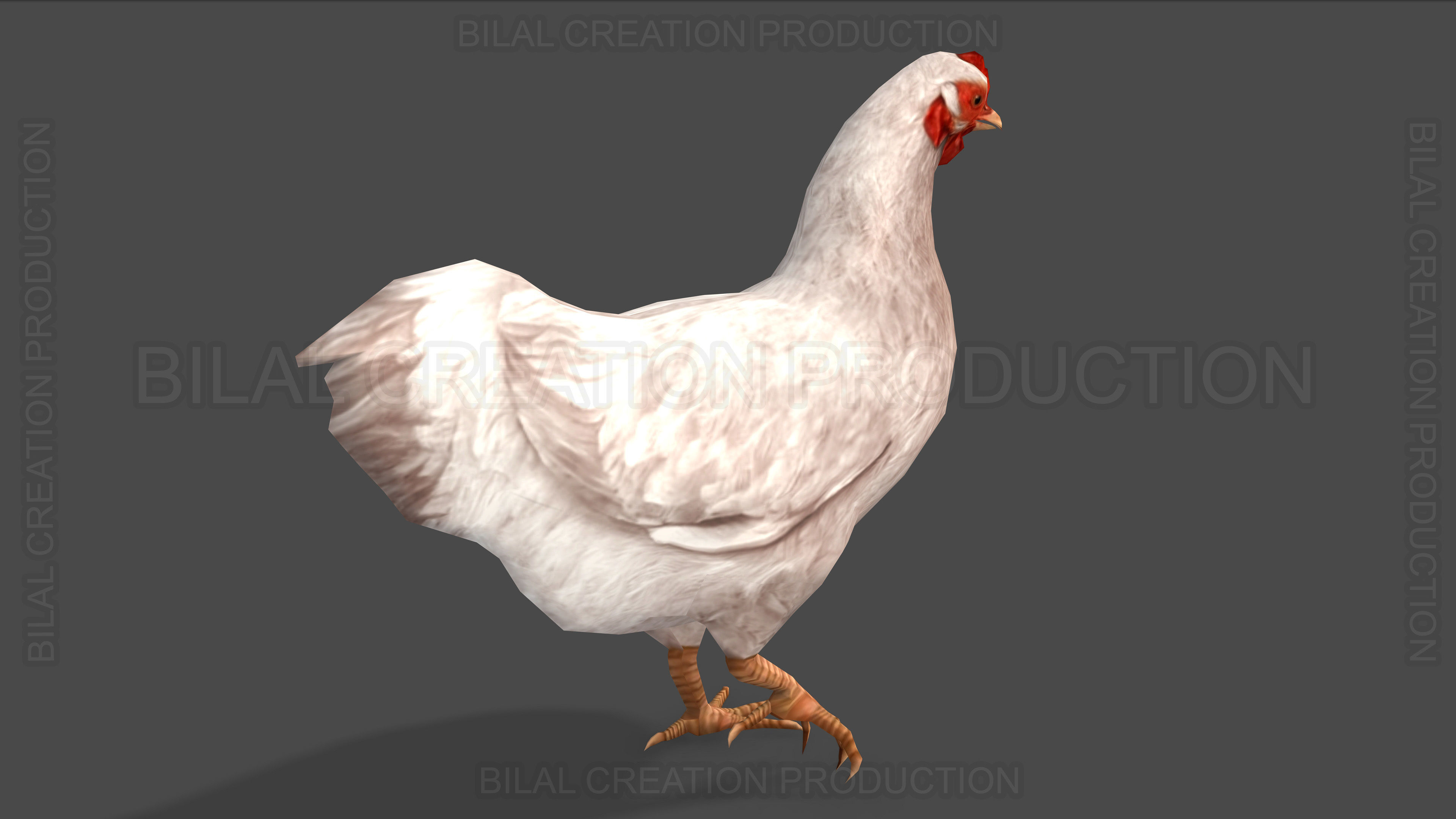 White Hen chicken Animated Low-poly 3D model_9