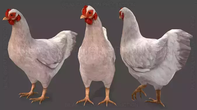 White Hen chicken Animated Low-poly 3D model