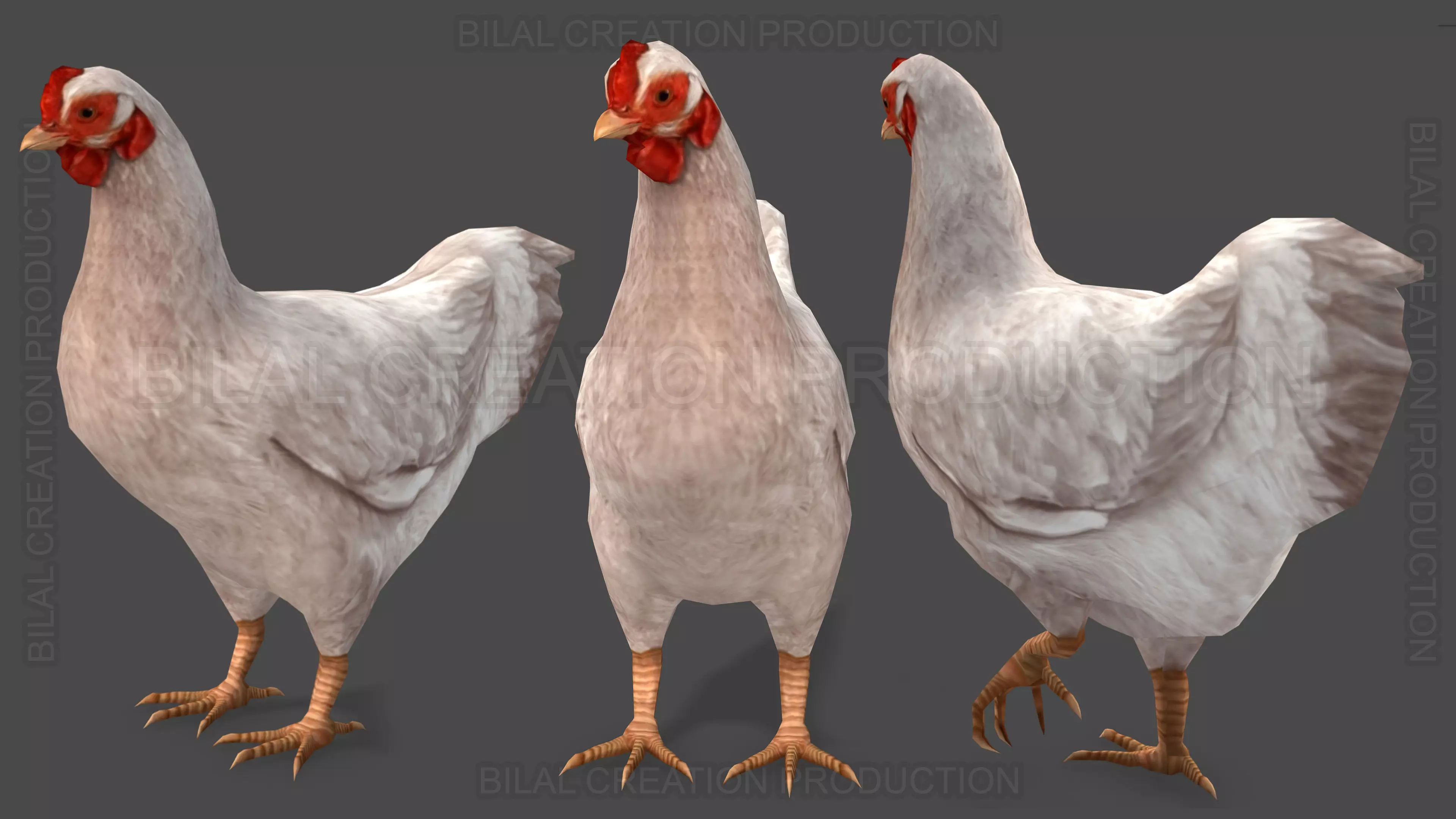 White Hen chicken Animated Low-poly 3D model_0