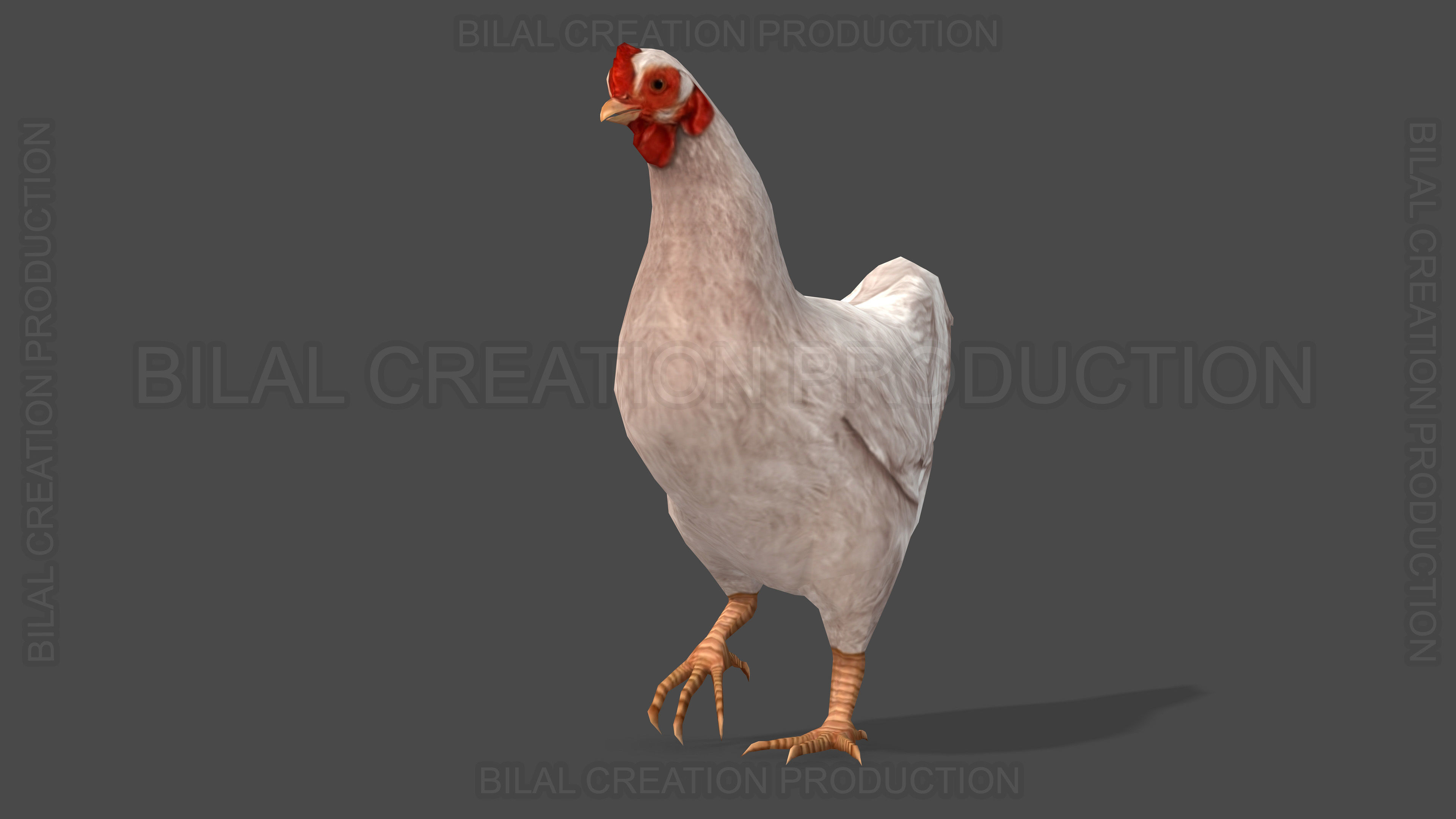 White Hen chicken Animated Low-poly 3D model_3