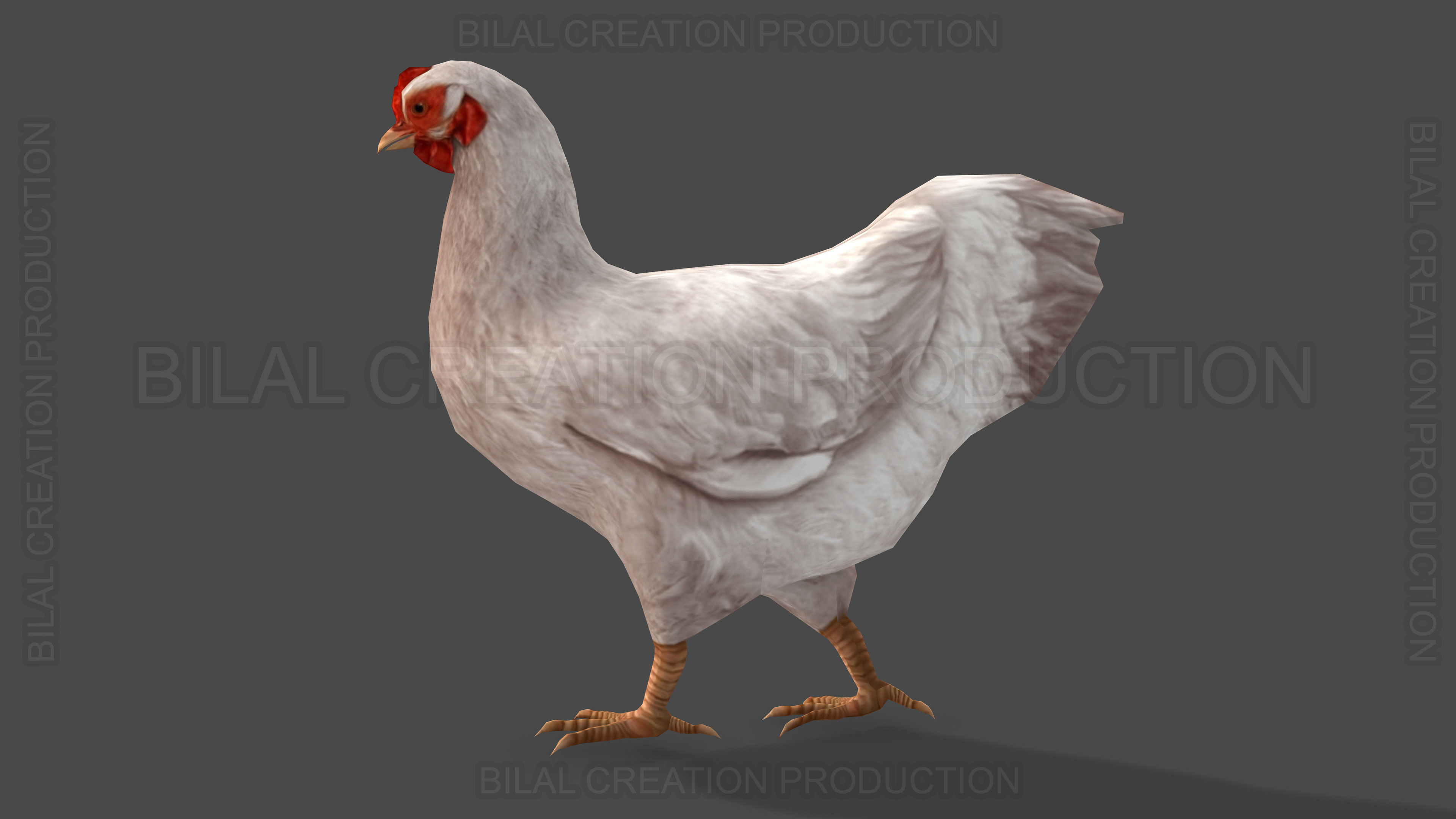 White Hen chicken Animated Low-poly 3D model_4