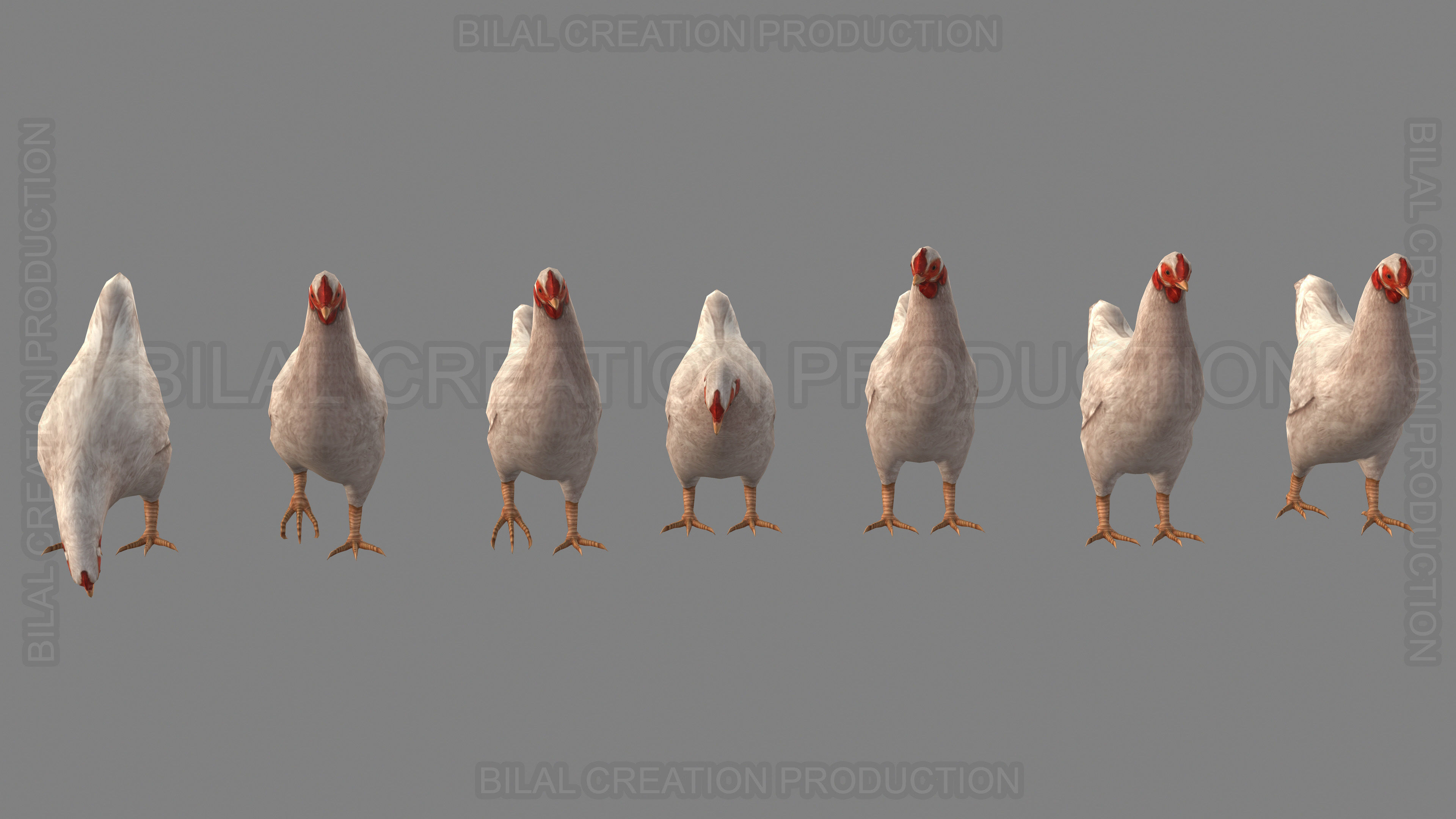 White Hen chicken Animated Low-poly 3D model_13