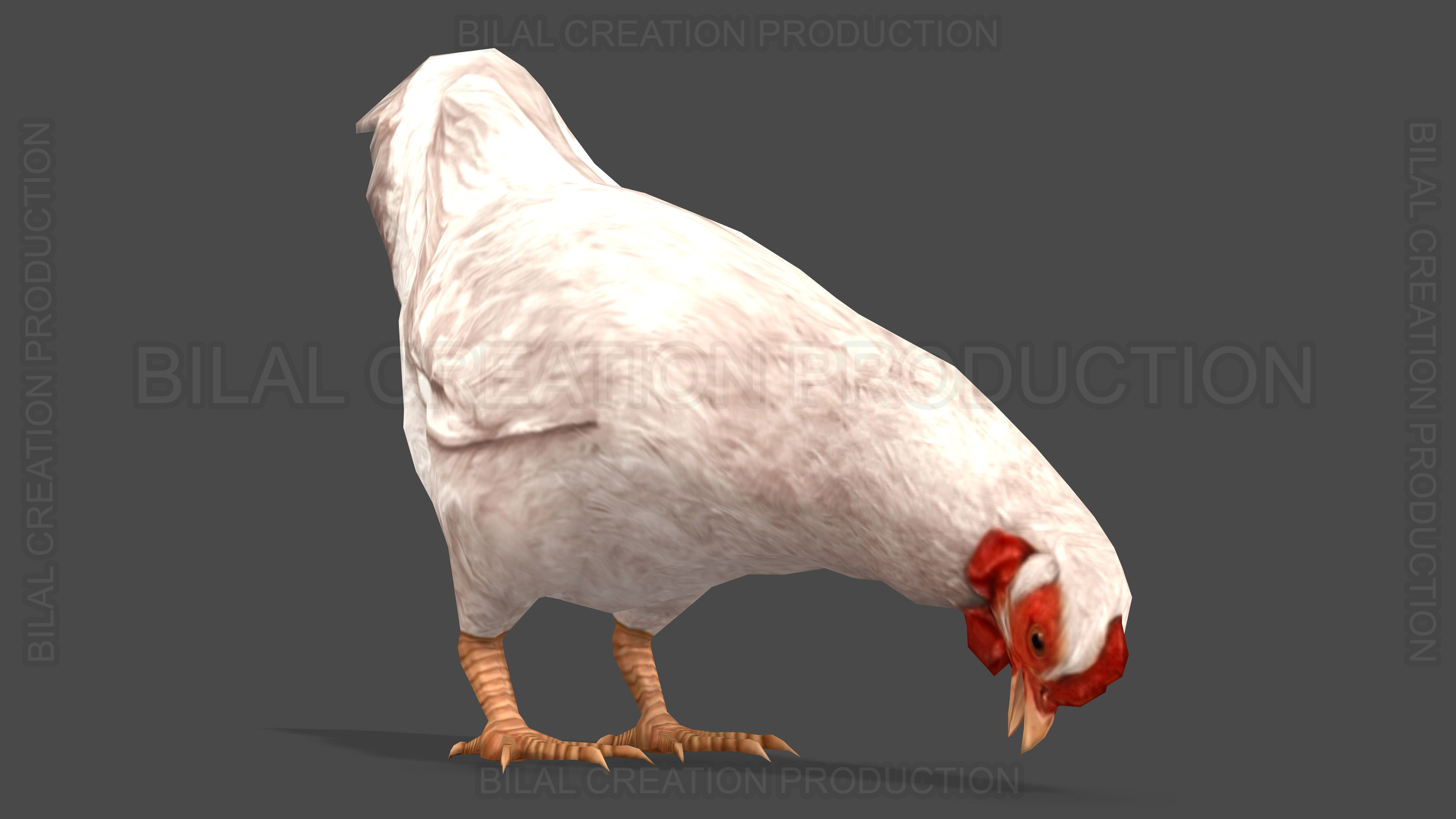 White Hen chicken Animated Low-poly 3D model_12