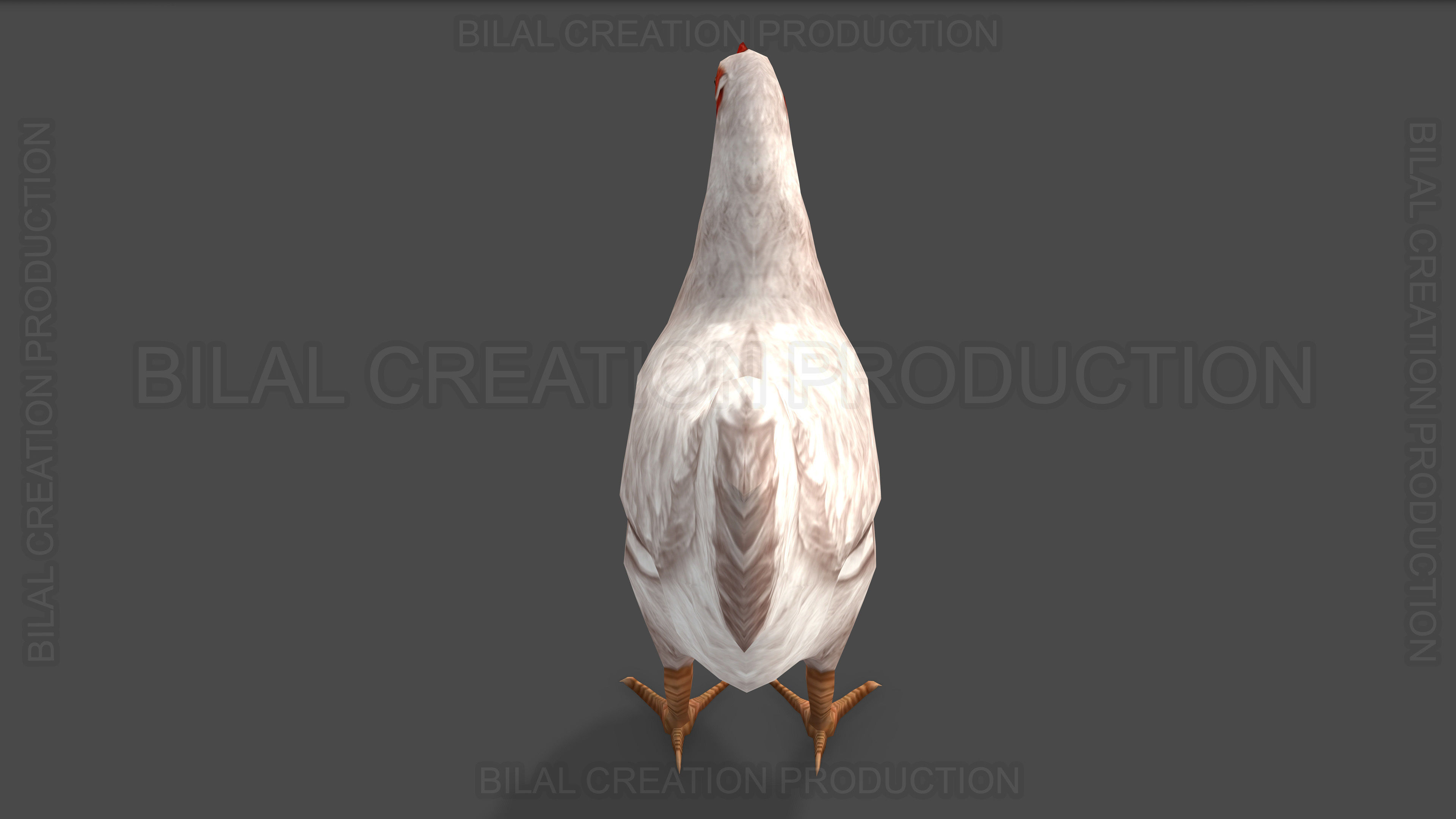 White Hen chicken Animated Low-poly 3D model_8