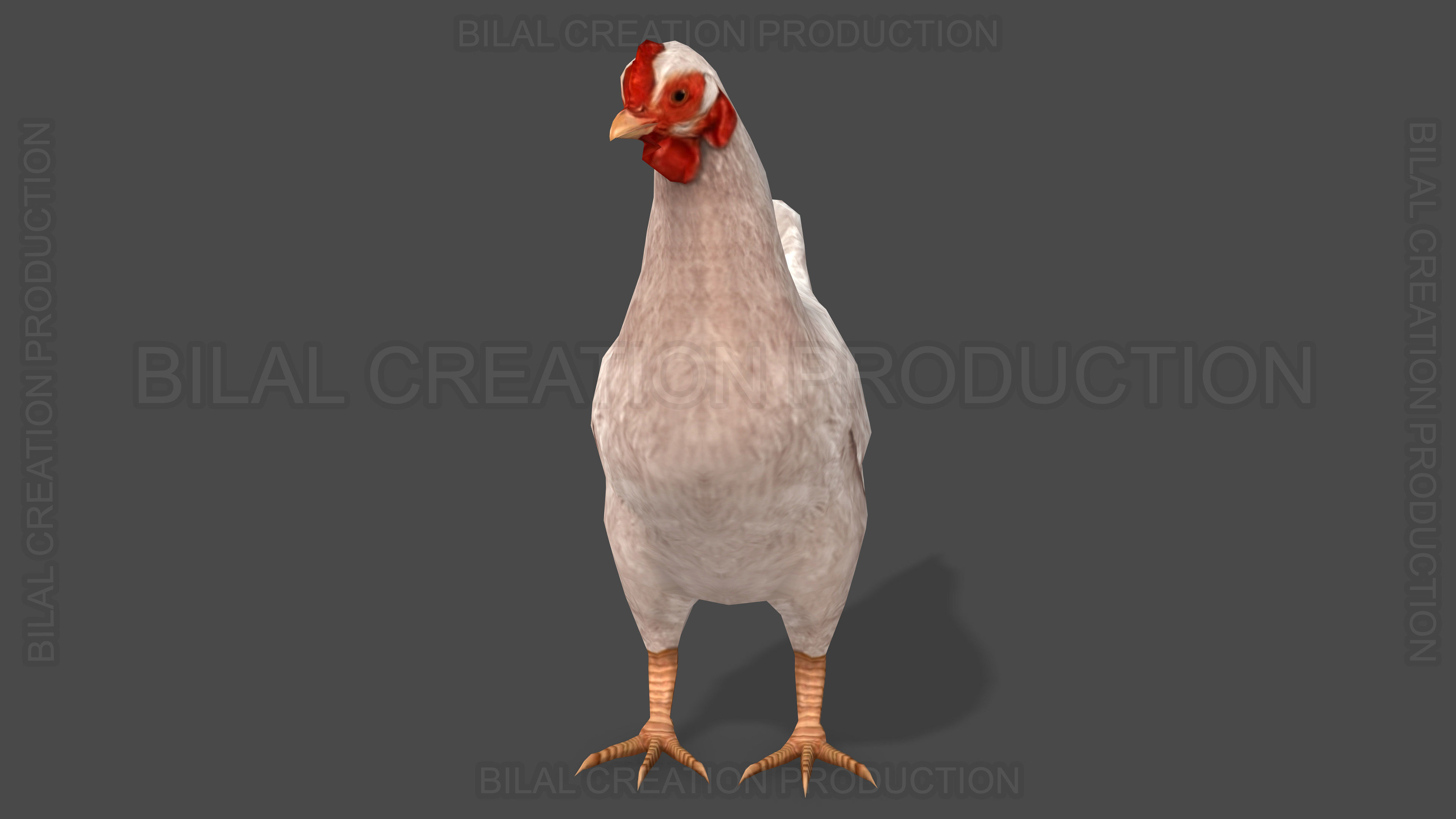 White Hen chicken Animated Low-poly 3D model_2