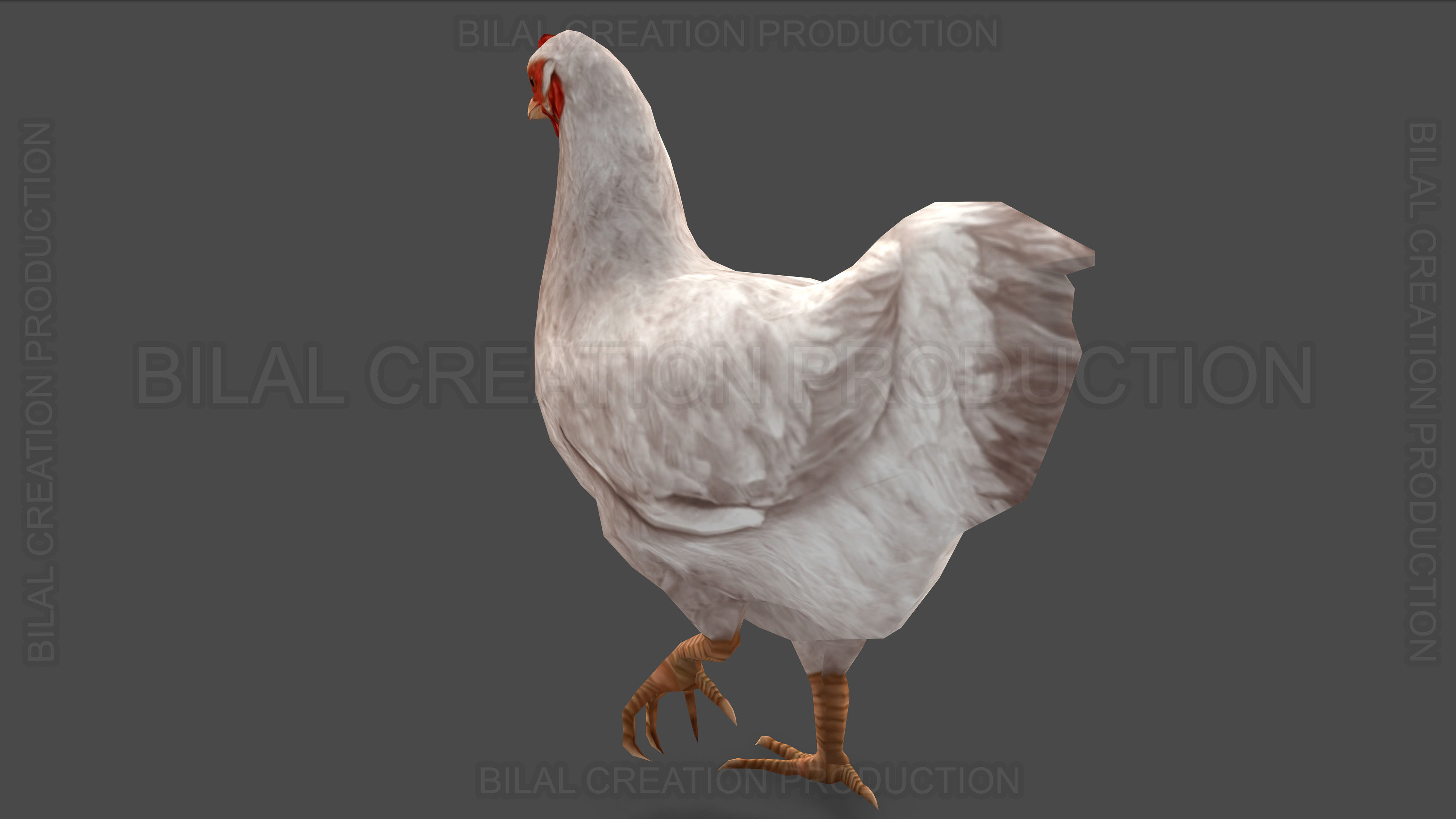 White Hen chicken Animated Low-poly 3D model_10