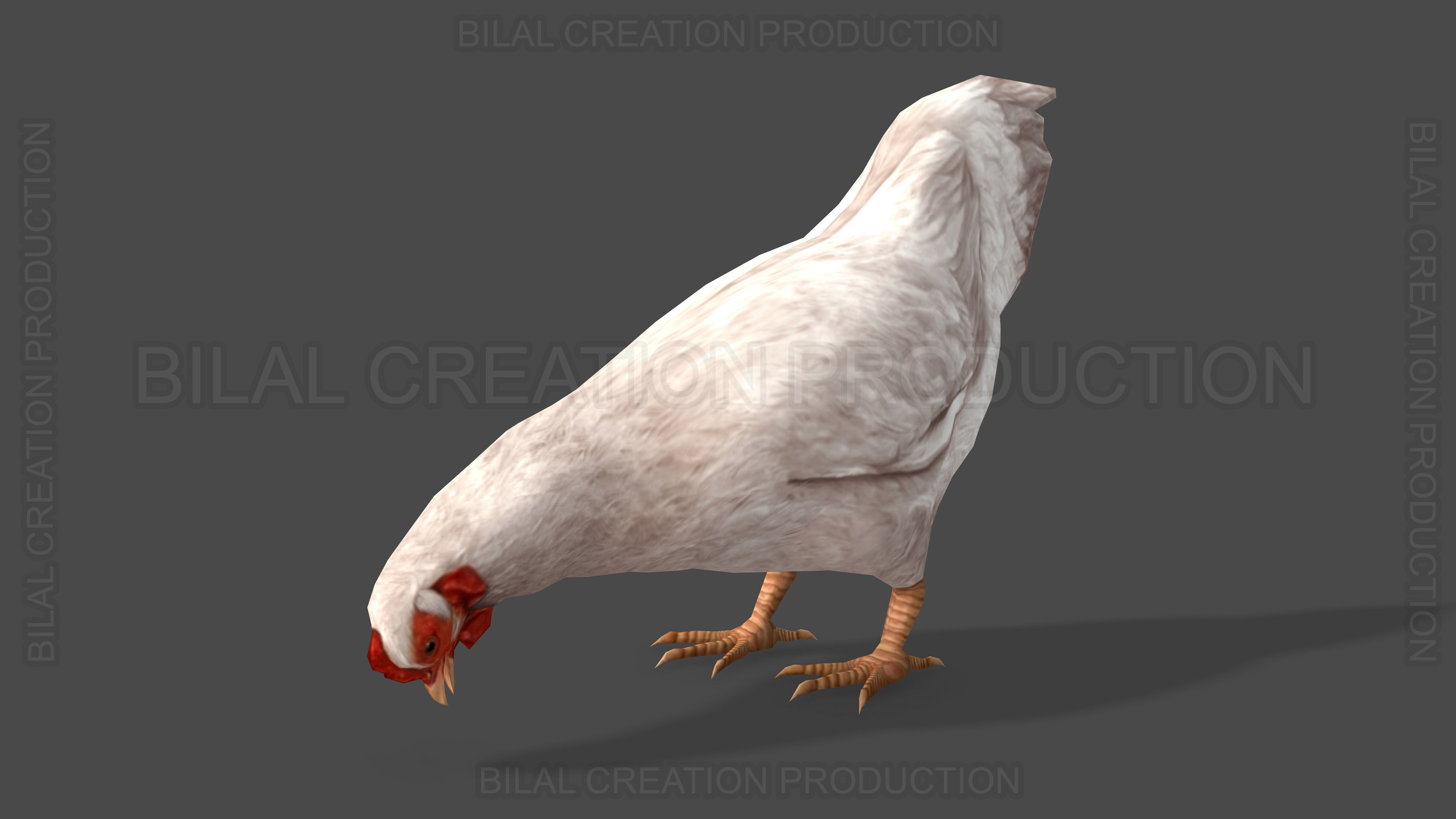 White Hen chicken Animated Low-poly 3D model_7