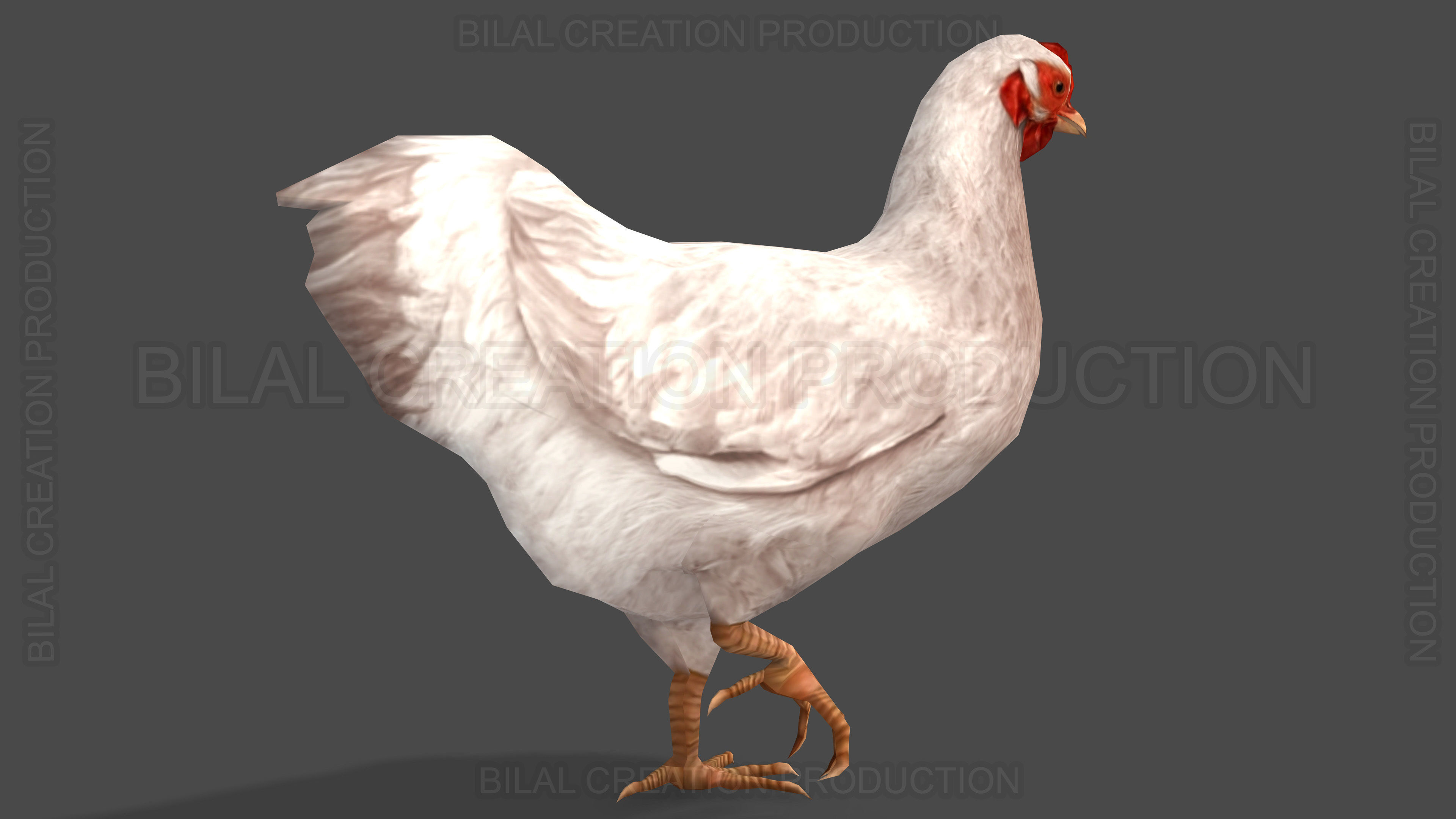 White Hen chicken Animated Low-poly 3D model_11