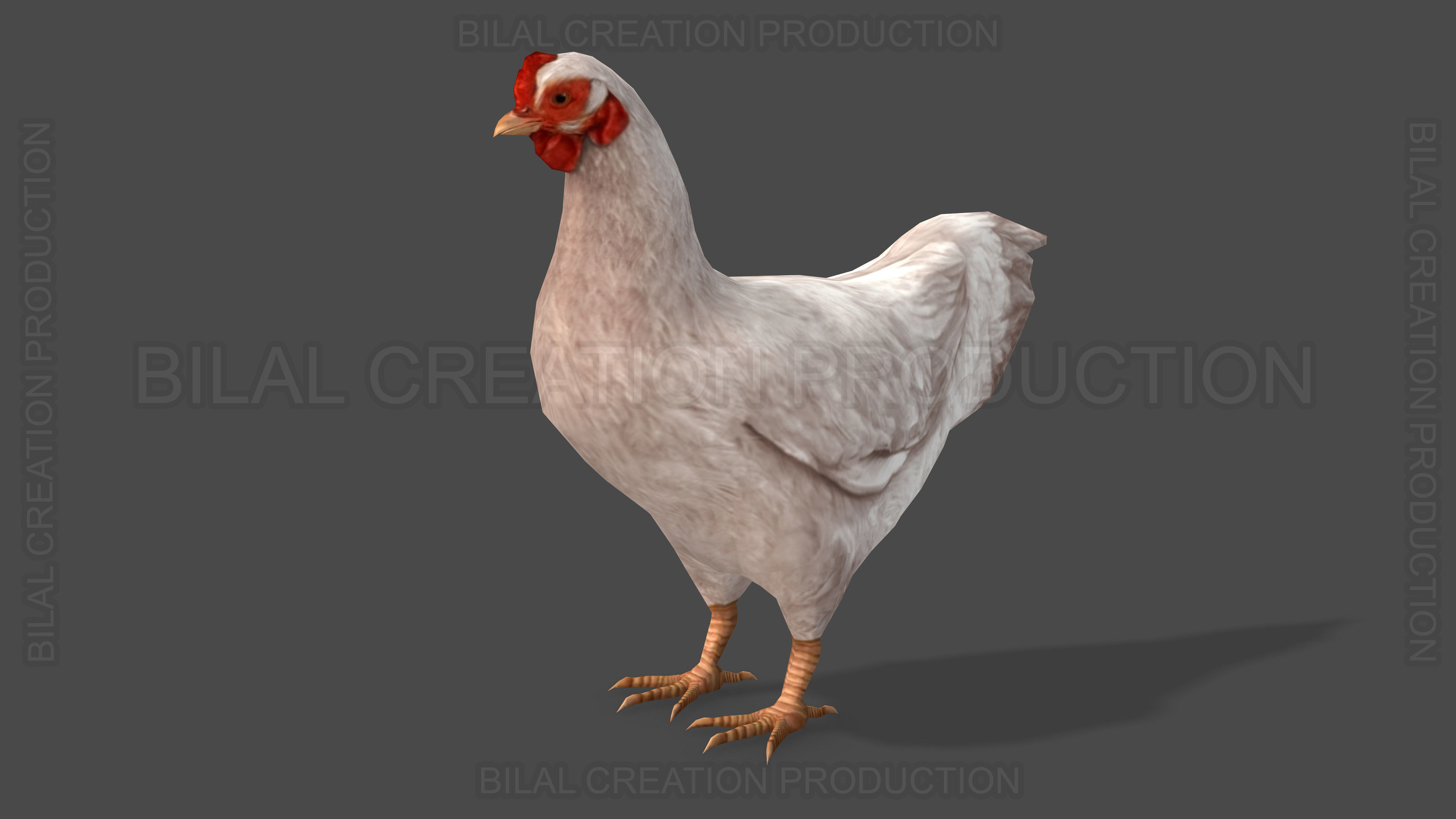 White Hen chicken Animated Low-poly 3D model_1