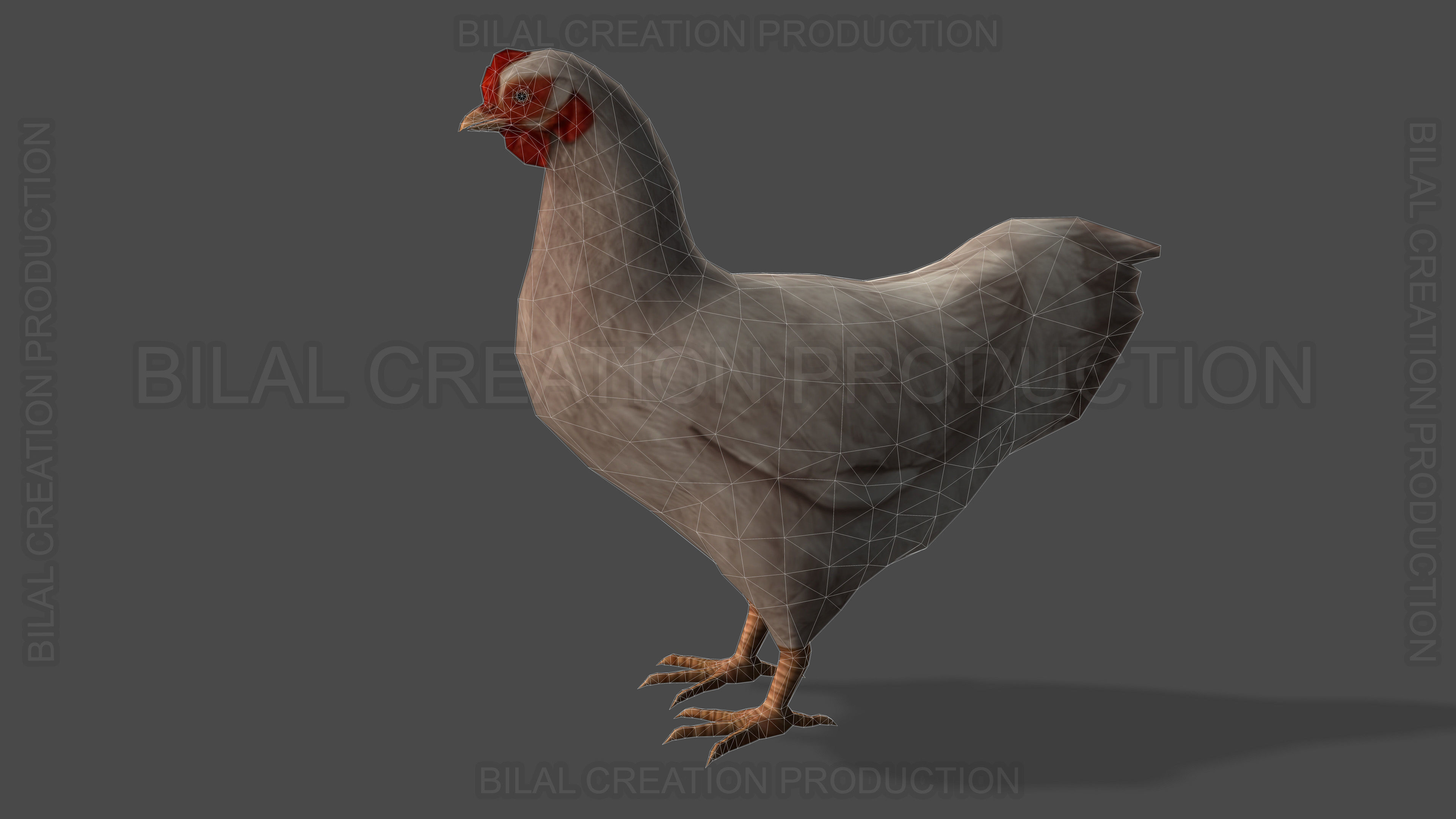 White Hen chicken Animated Low-poly 3D model_15