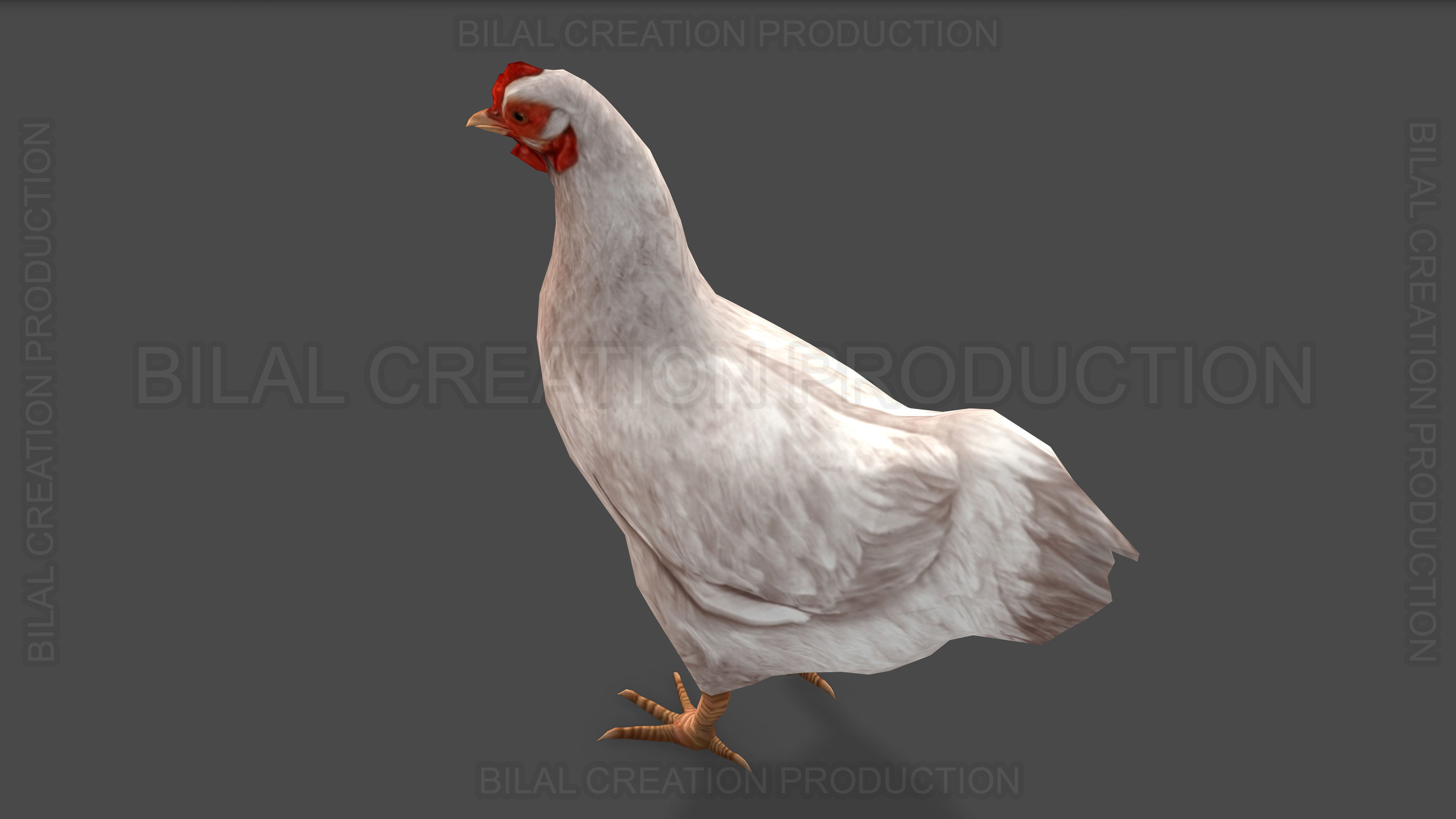 White Hen chicken Animated Low-poly 3D model_6