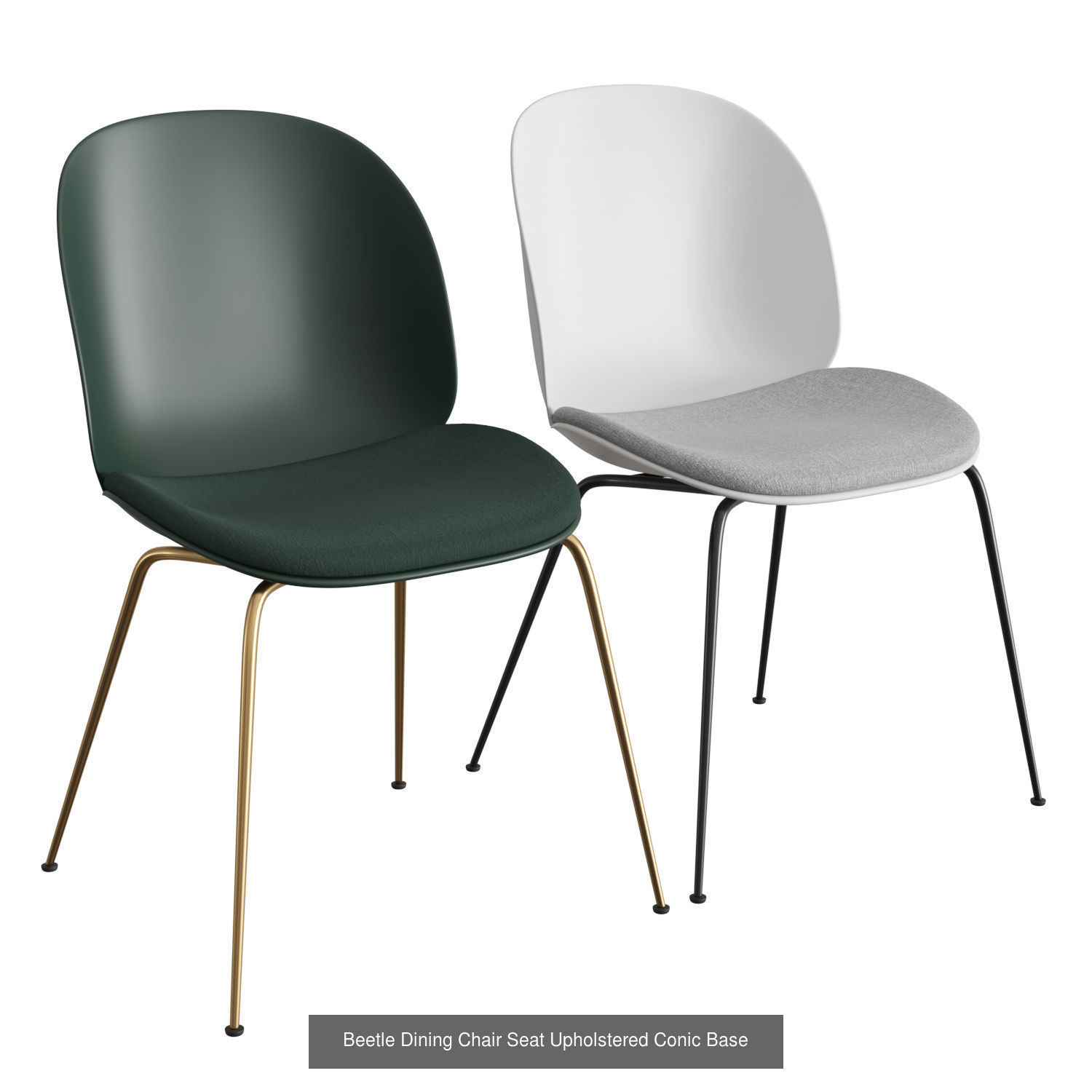 Beetle Collection 01 _2