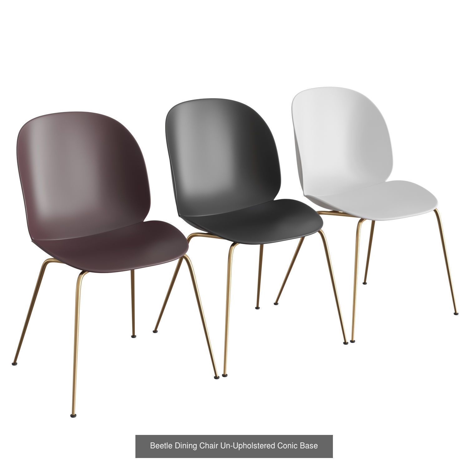 Beetle Collection 01 _3