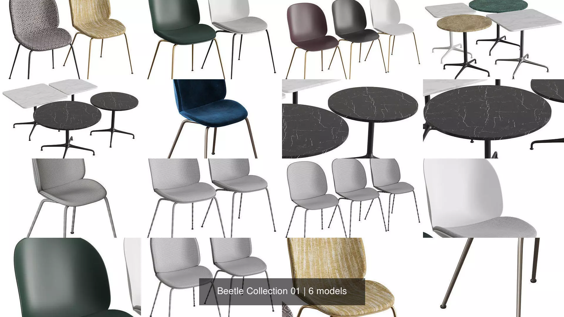 Beetle Collection 01 _0