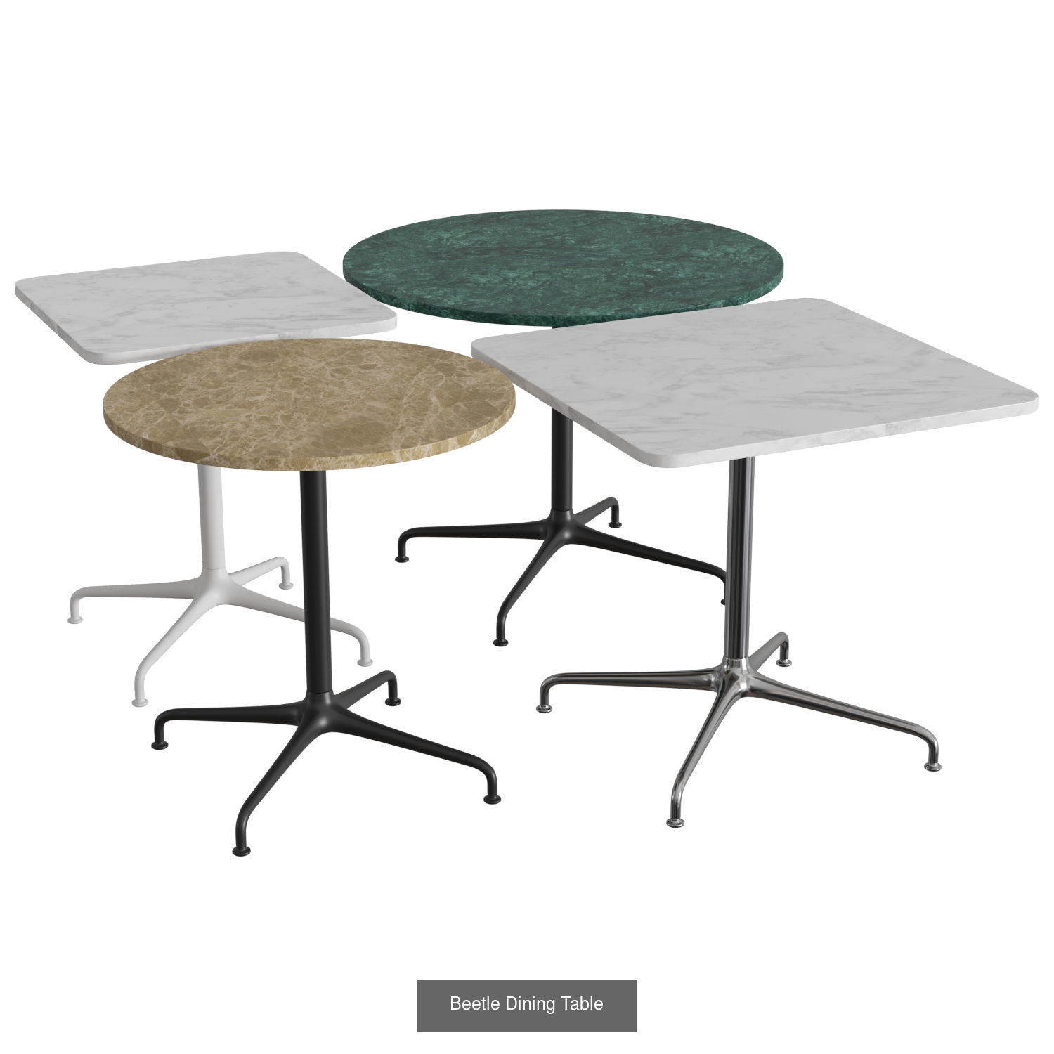 Beetle Collection 01 _4