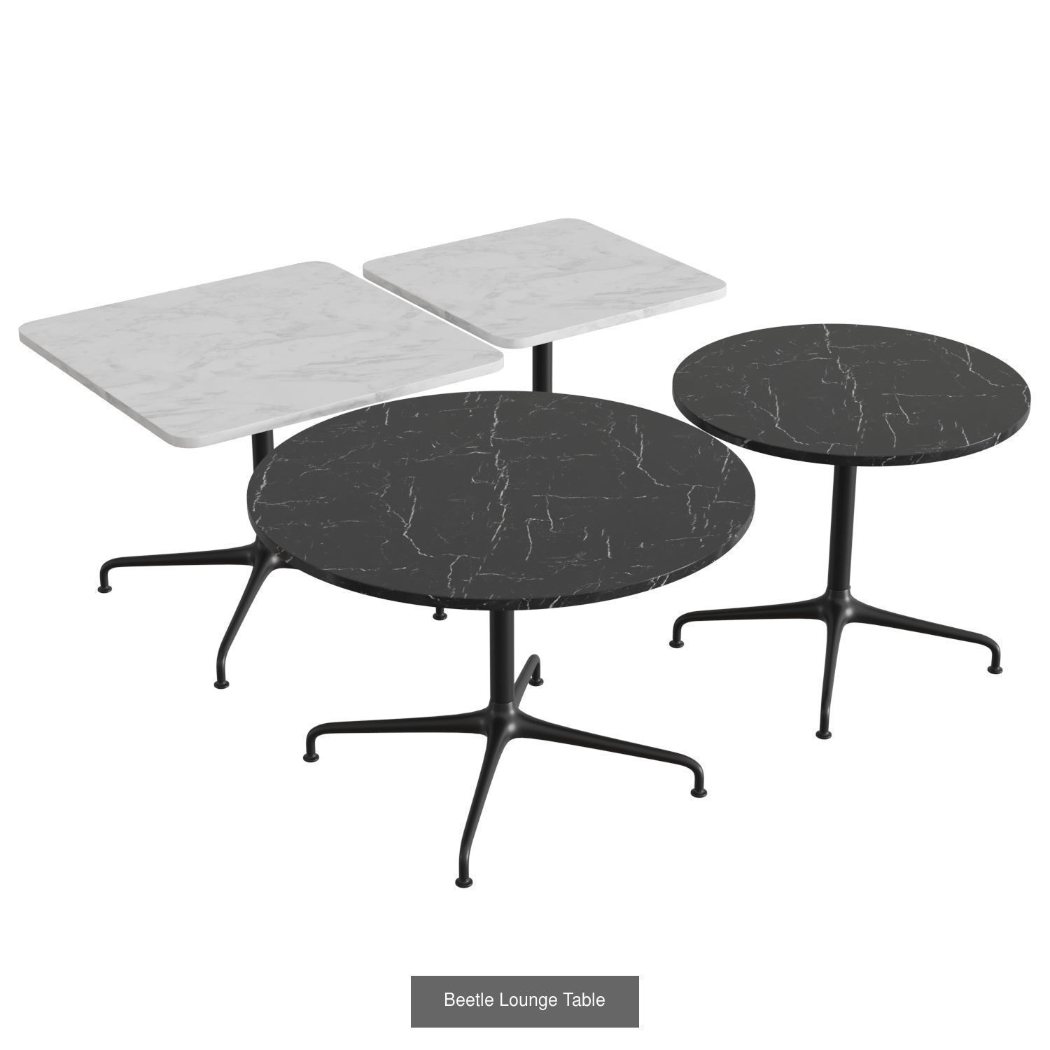 Beetle Collection 01 _5