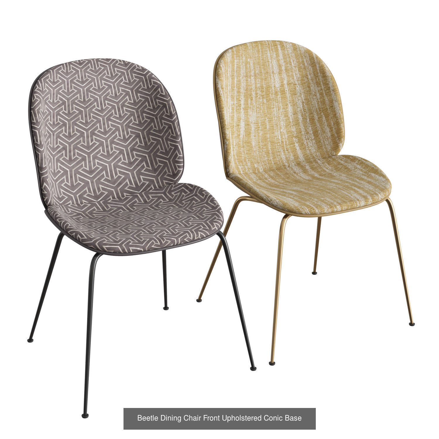 Beetle Collection 01 _1