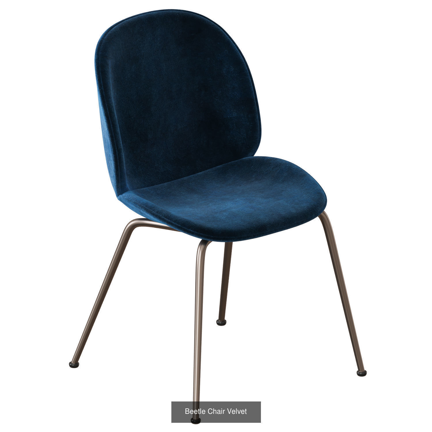 Beetle Collection 01 _6