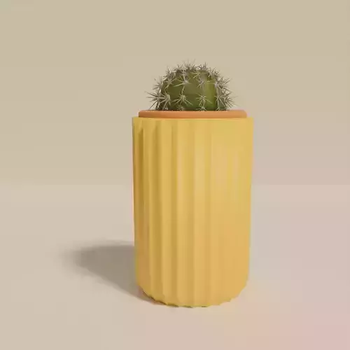 Small cactus pot