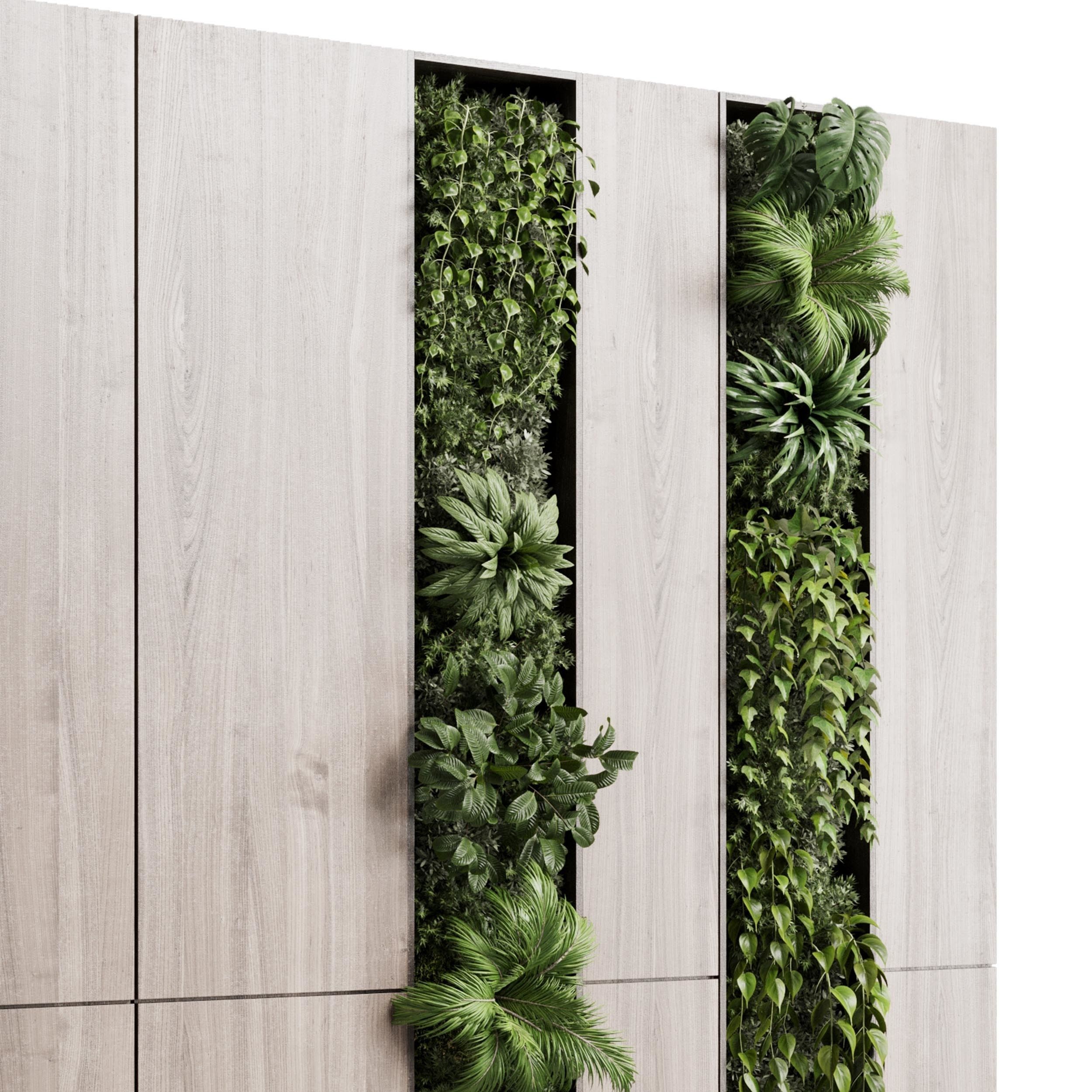 Vertical Wall Garden With wooden frame 3D model_2