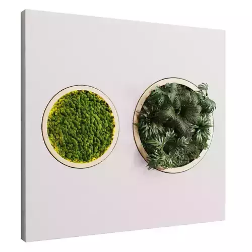 vertical garden circle and moss in wooden frame 32