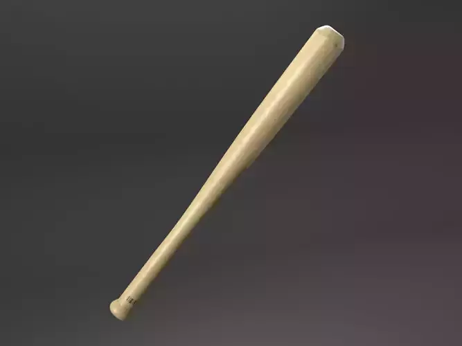 Baseball Bat