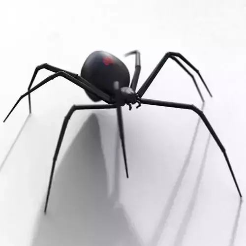 Black widow Low-poly 3D model