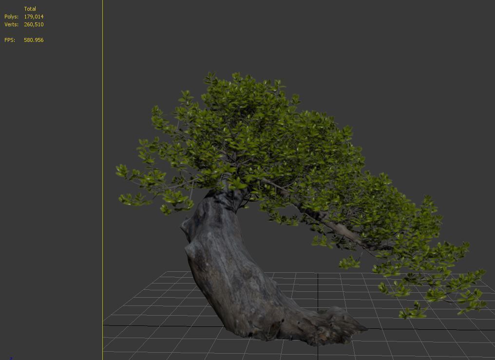 Bonsai plant 02 3D model_6