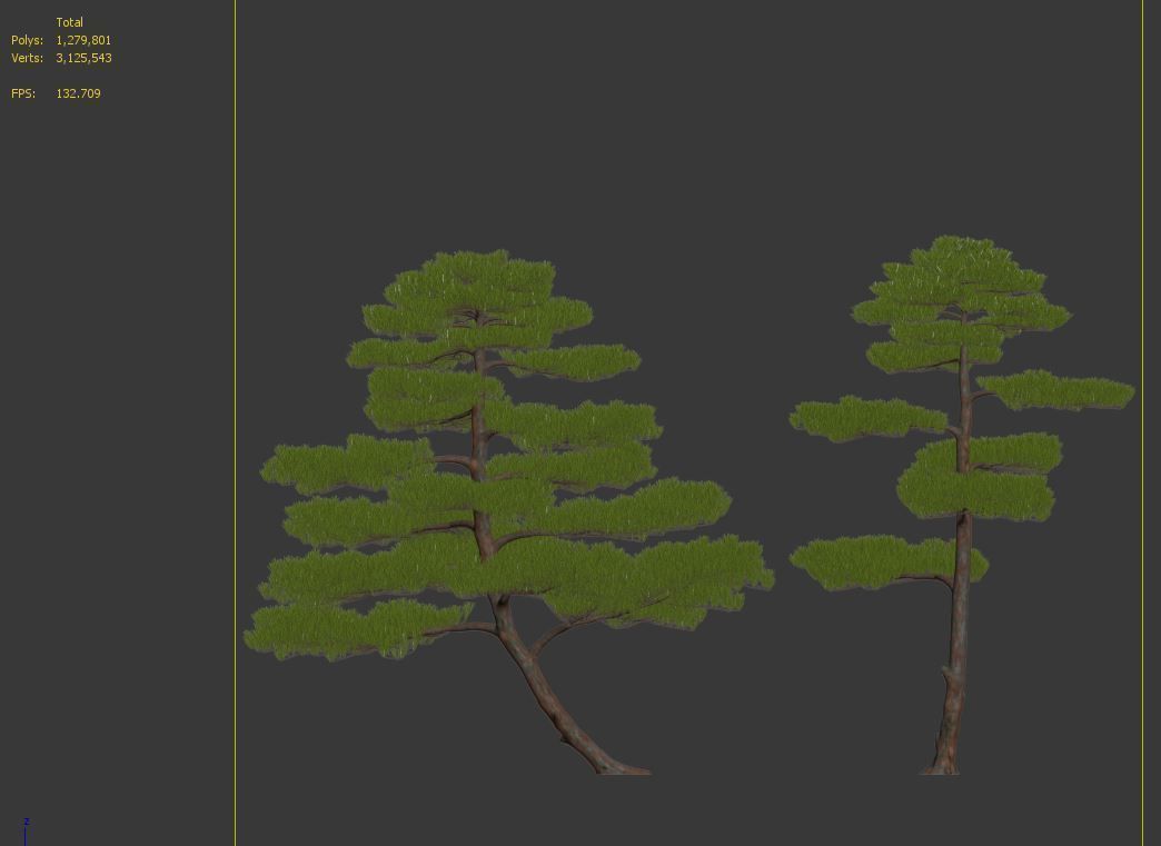 Pinus thunbergii 02 3D model_7