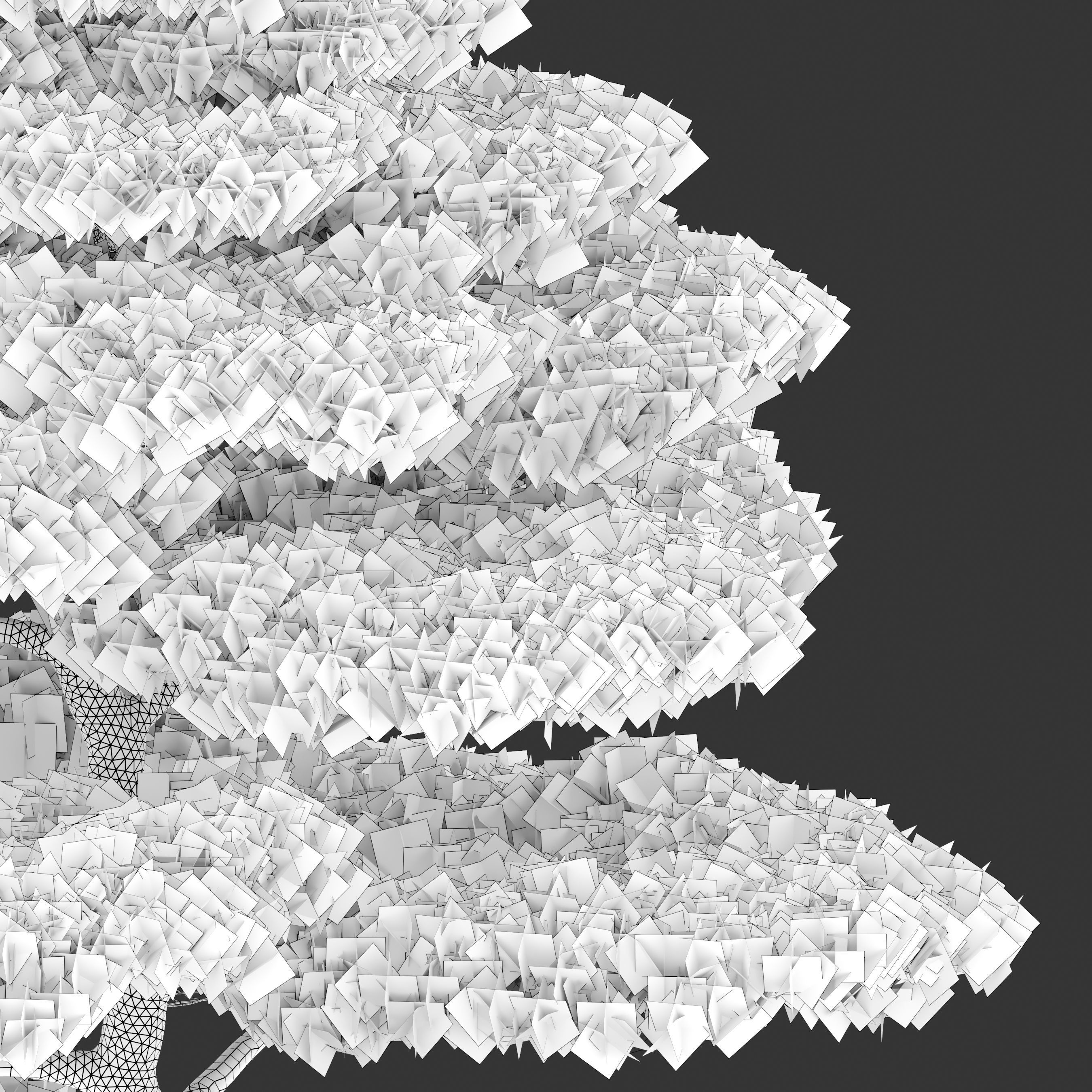 Pinus thunbergii 3D model_6