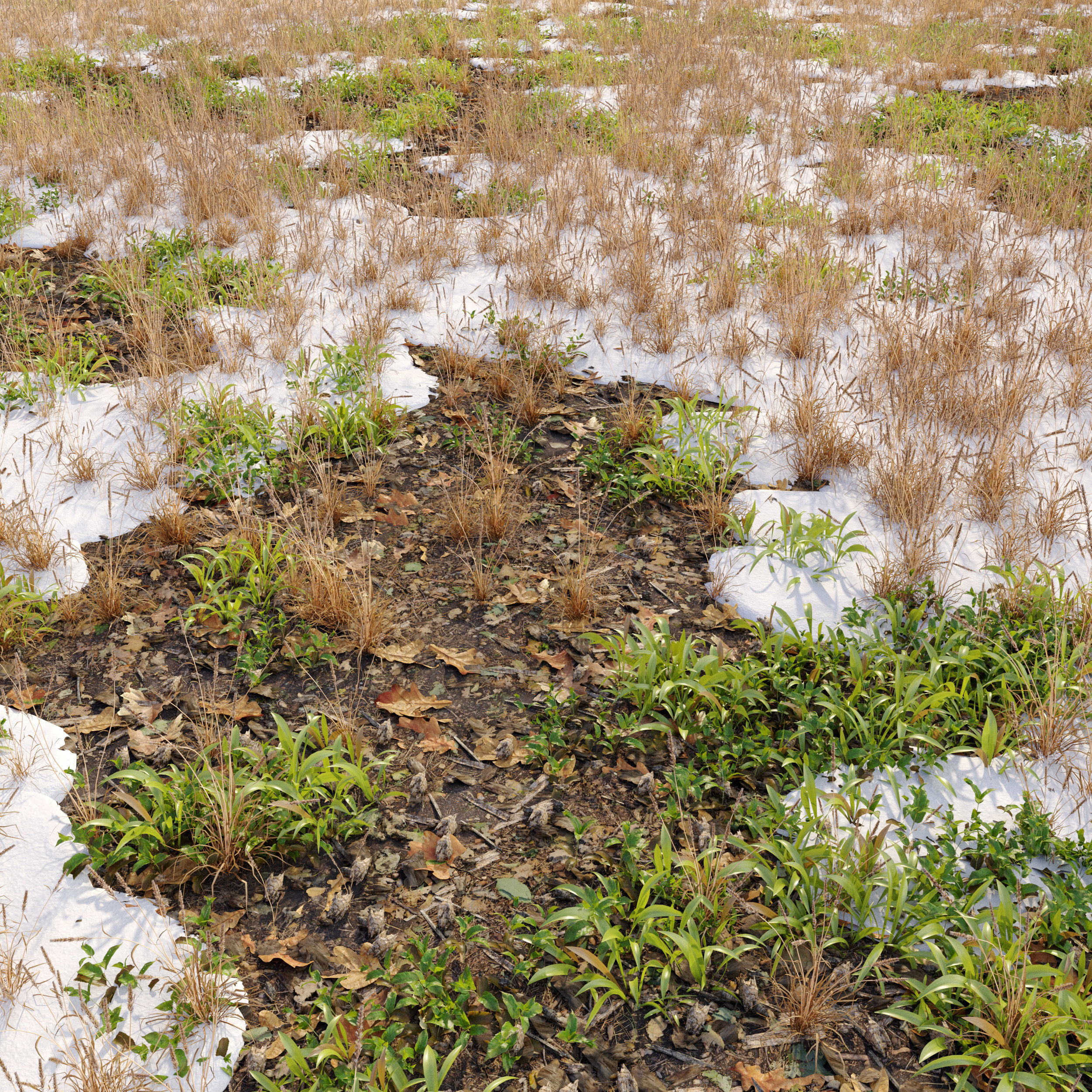 Snowy grassland 3D model_1