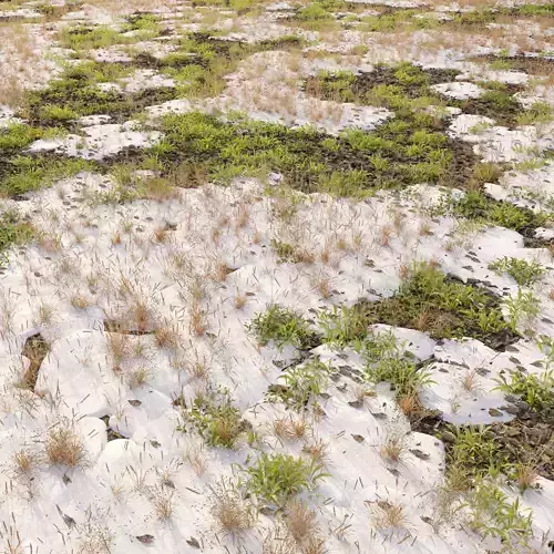 Snowy grassland 3D model