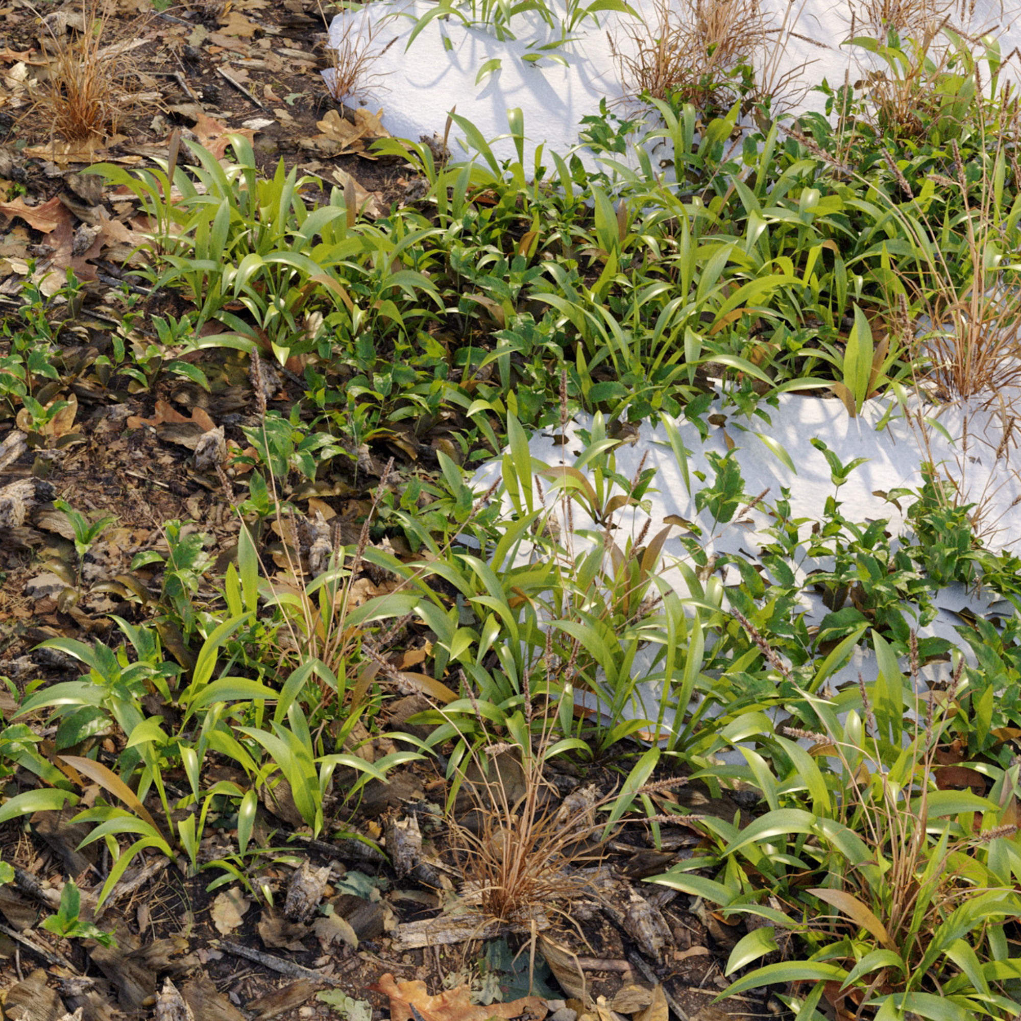 Snowy grassland 3D model_2