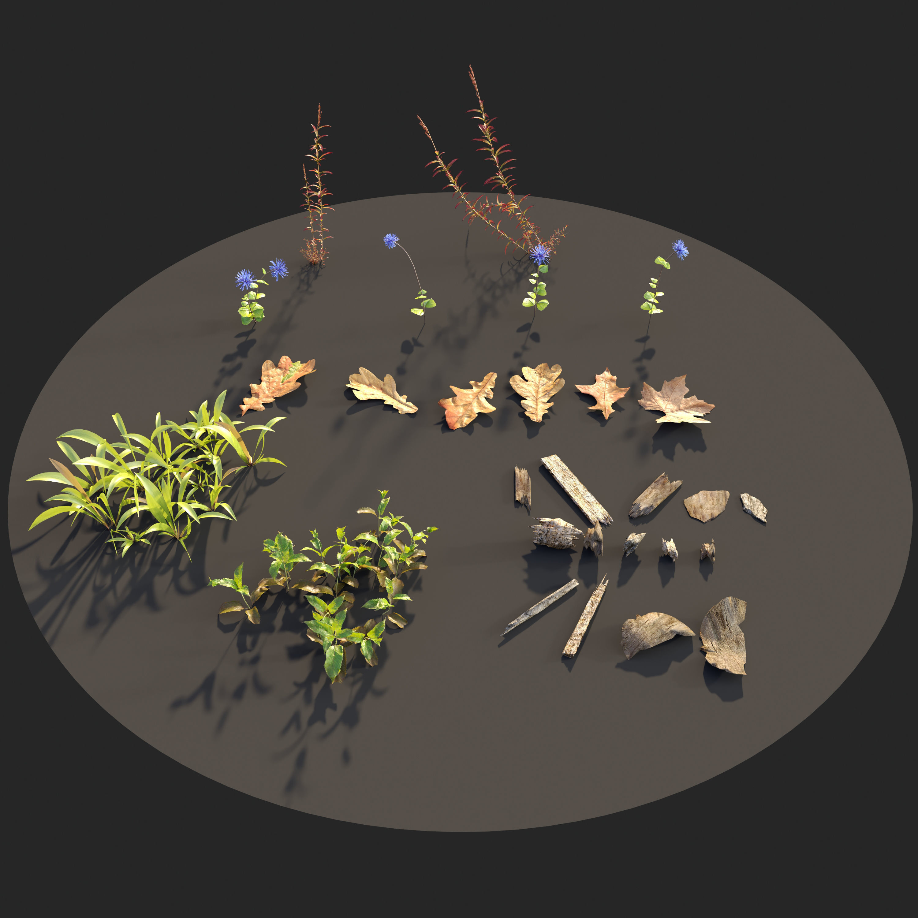 Forest ground 3D model_6