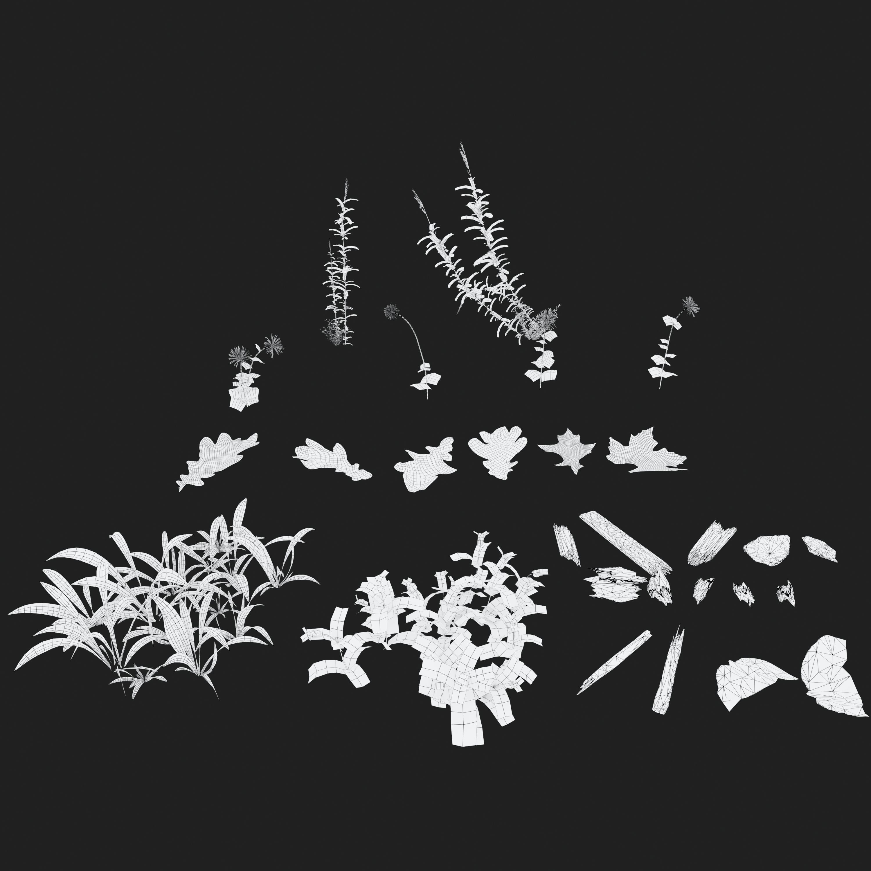 Forest ground 3D model_7