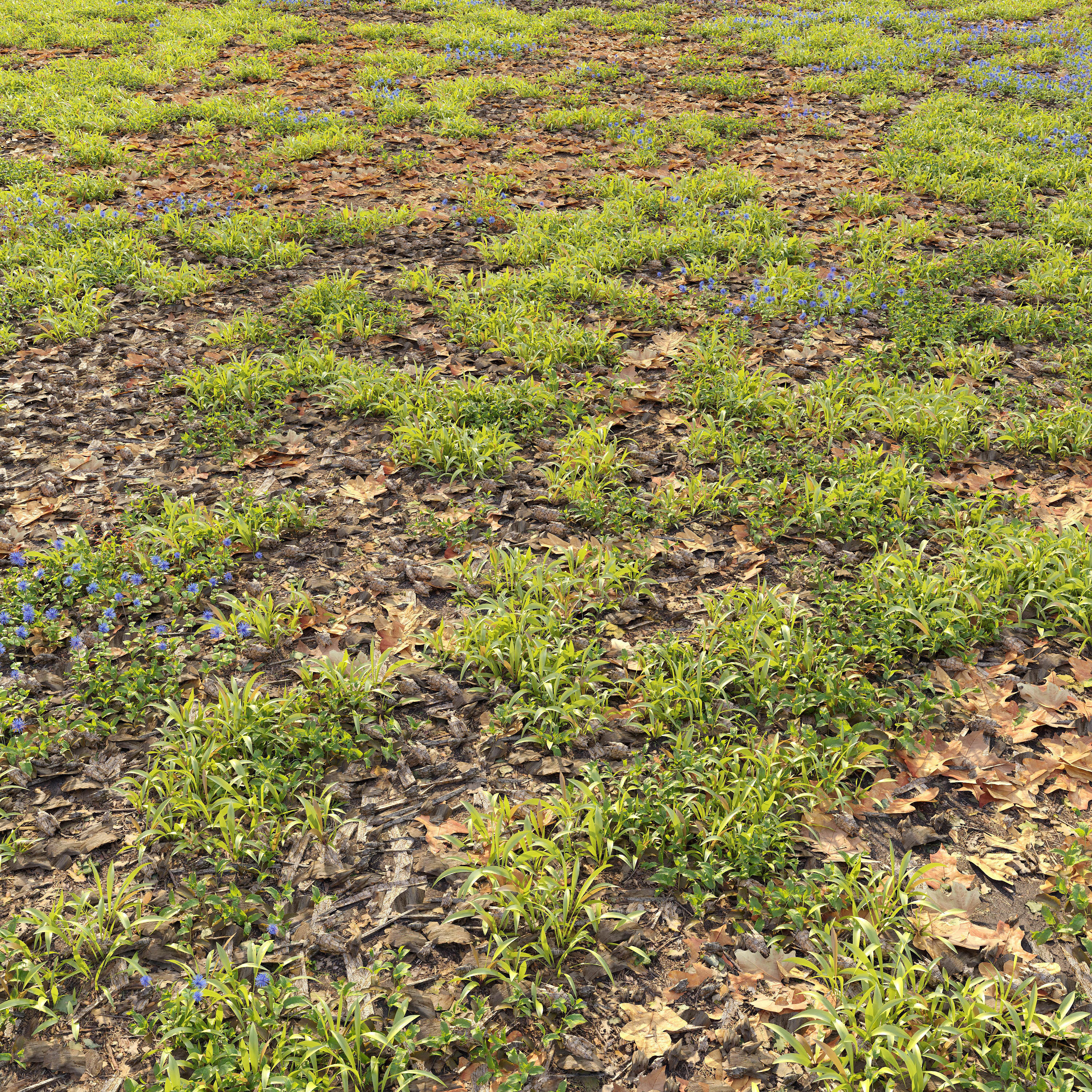 Forest ground 3D model_1