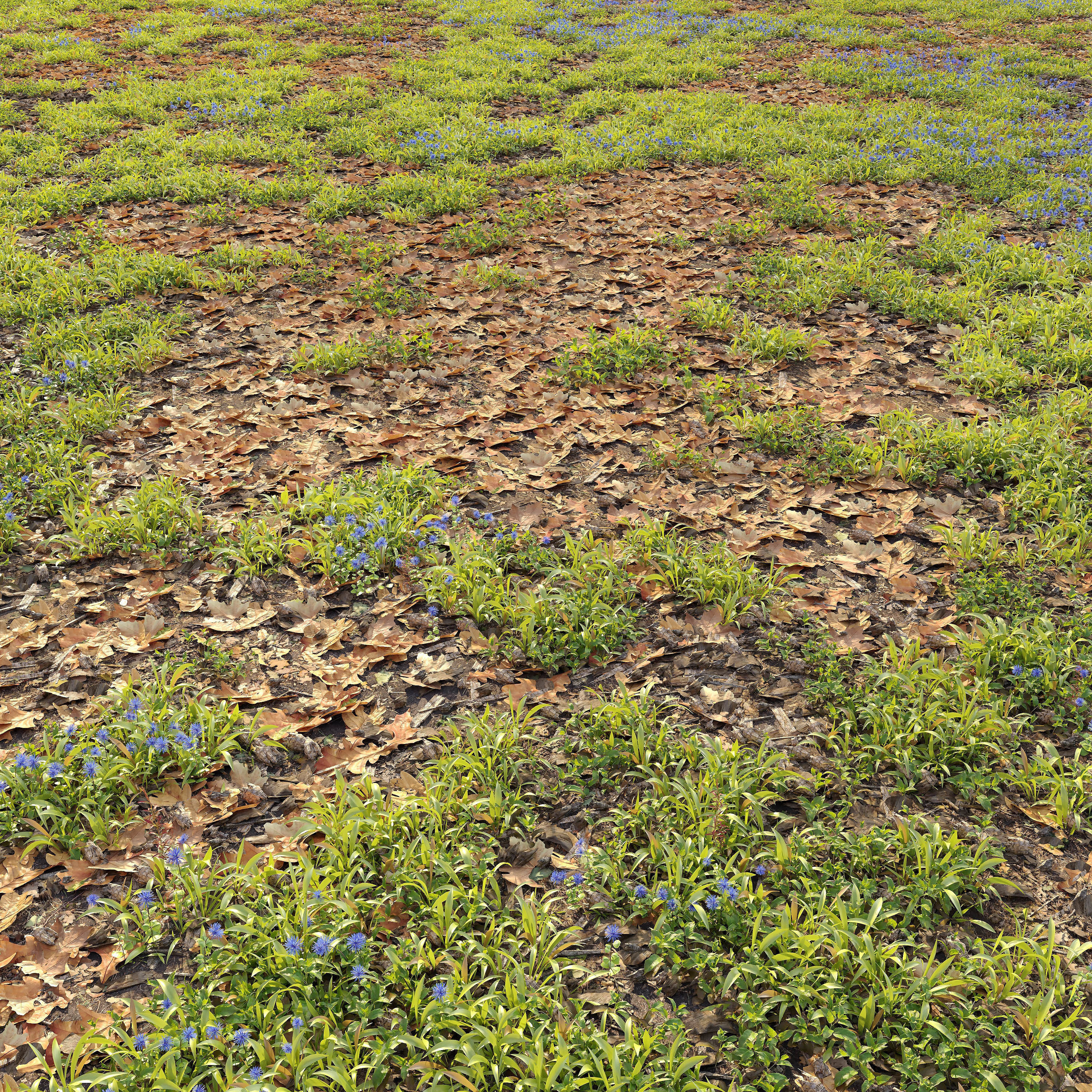 Forest ground 3D model_2