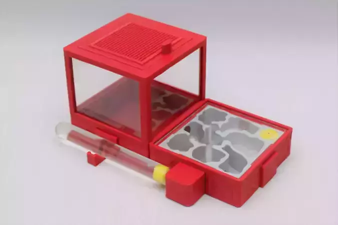 ANT FARM FORMICARIUM HORIZONTAL XBOX 3D print model