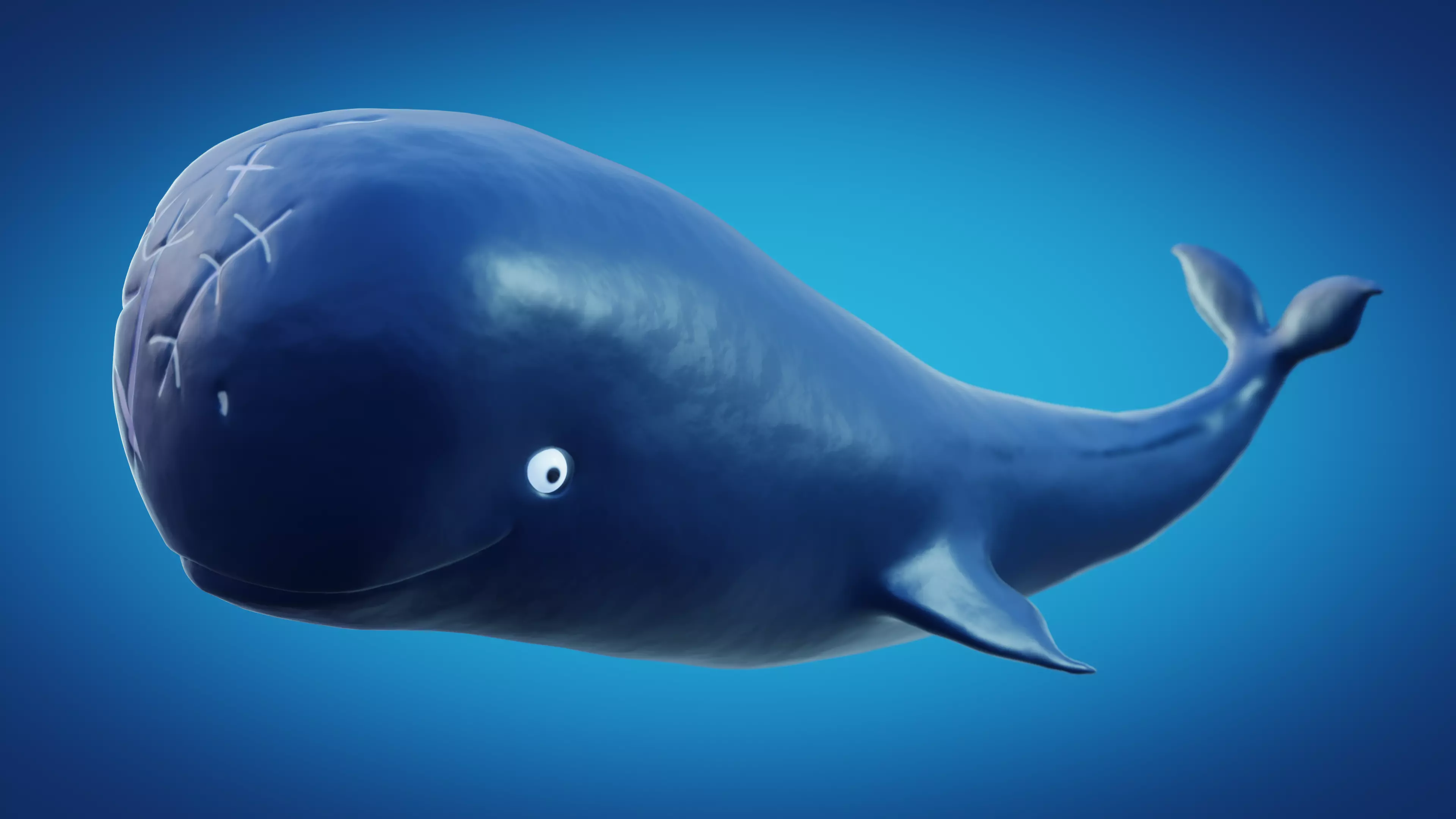 Whale laboon 3D model_0