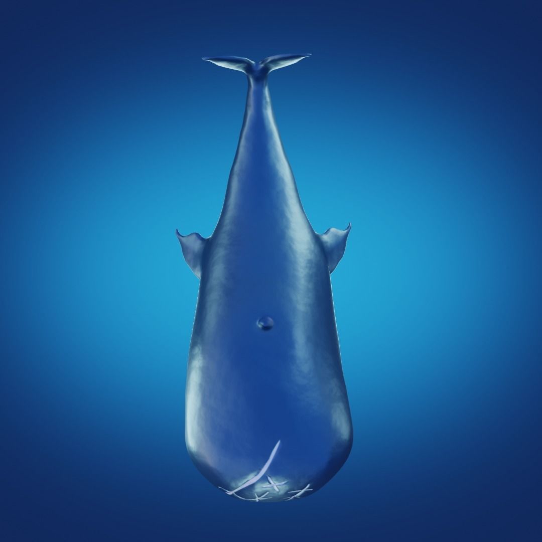Whale laboon 3D model_4