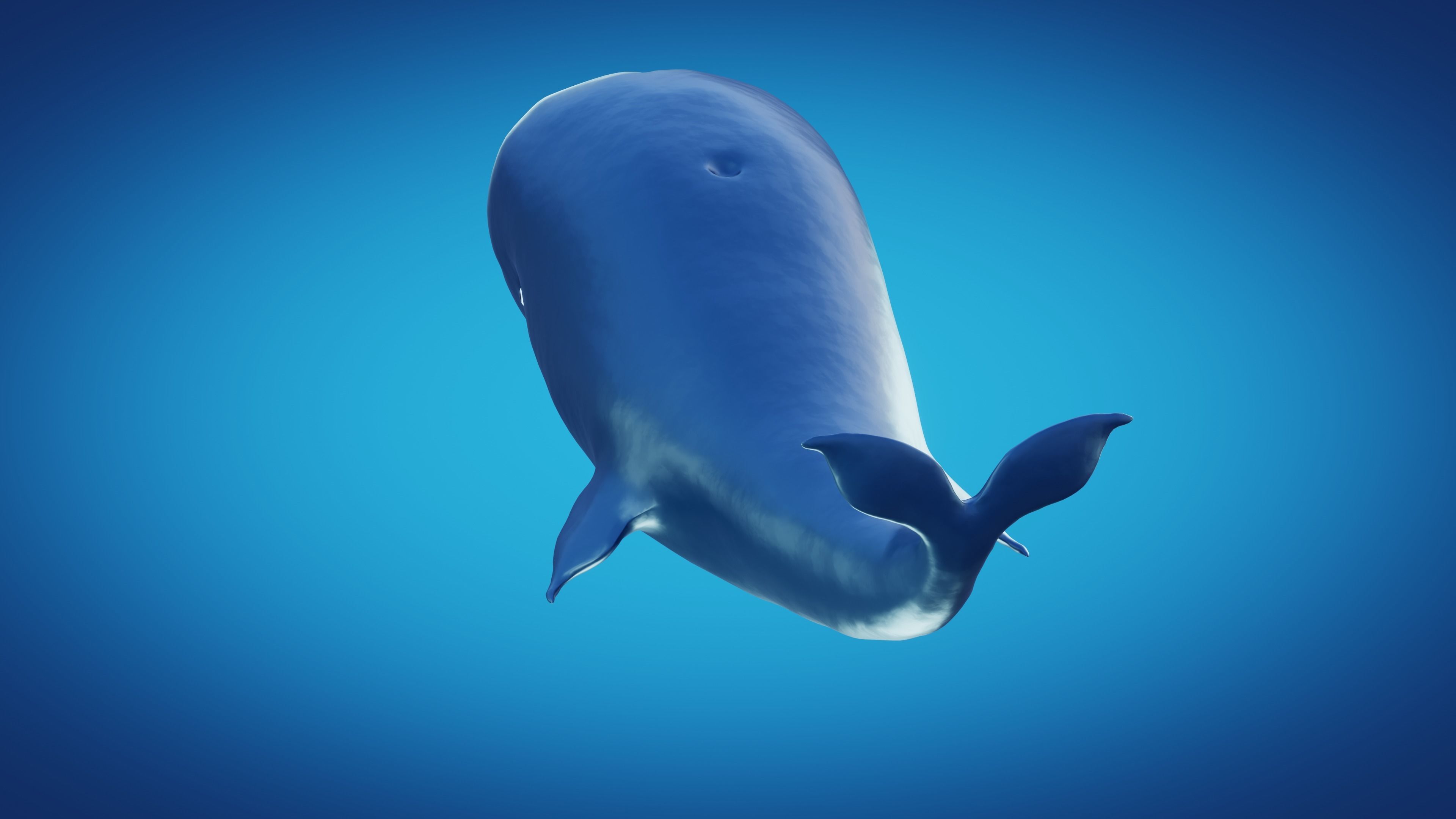 Whale laboon 3D model_3