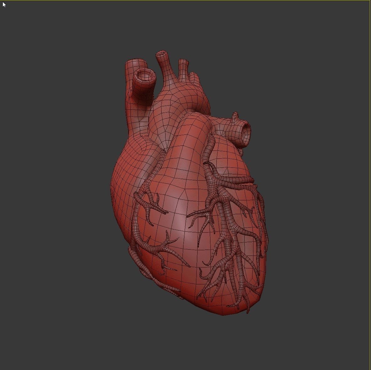 High Quality 3d model of Heart with Veins and arterias Low-poly 3D model_3