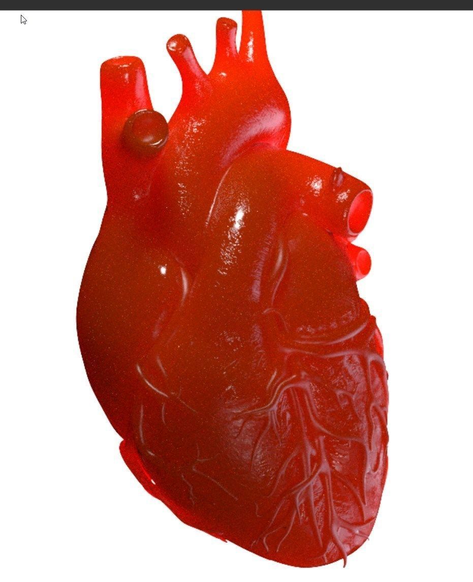 High Quality 3d model of Heart with Veins and arterias Low-poly 3D model_6