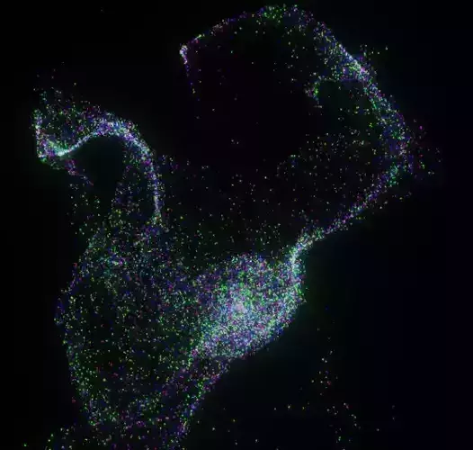 Particle Simulation in blender Eevee Free 3D model Particle Simulation in blender Eevee Free 3D model