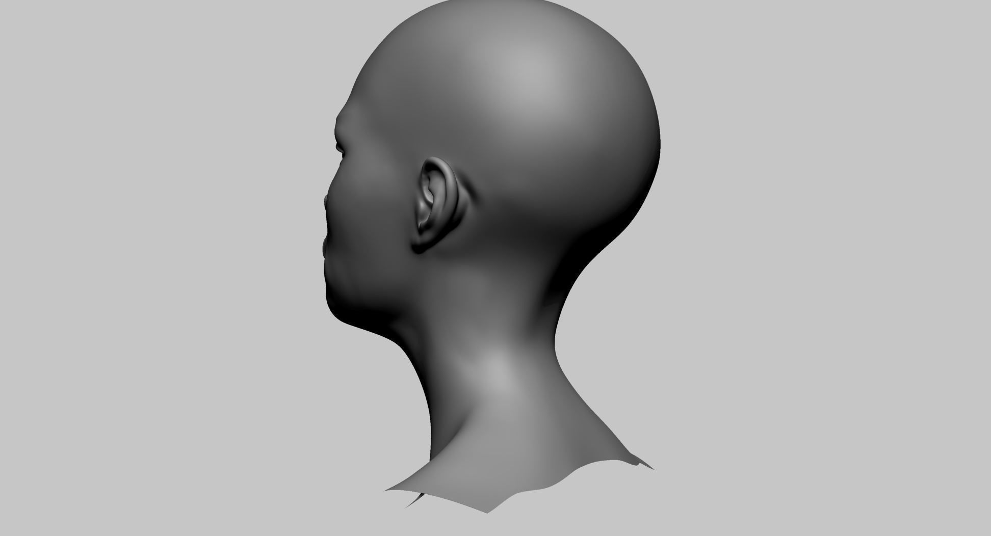 Stylized Head Basemesh A 3D model_4