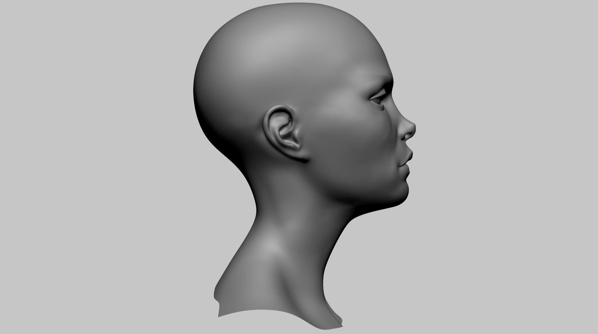 Stylized Head Basemesh A 3D model_1