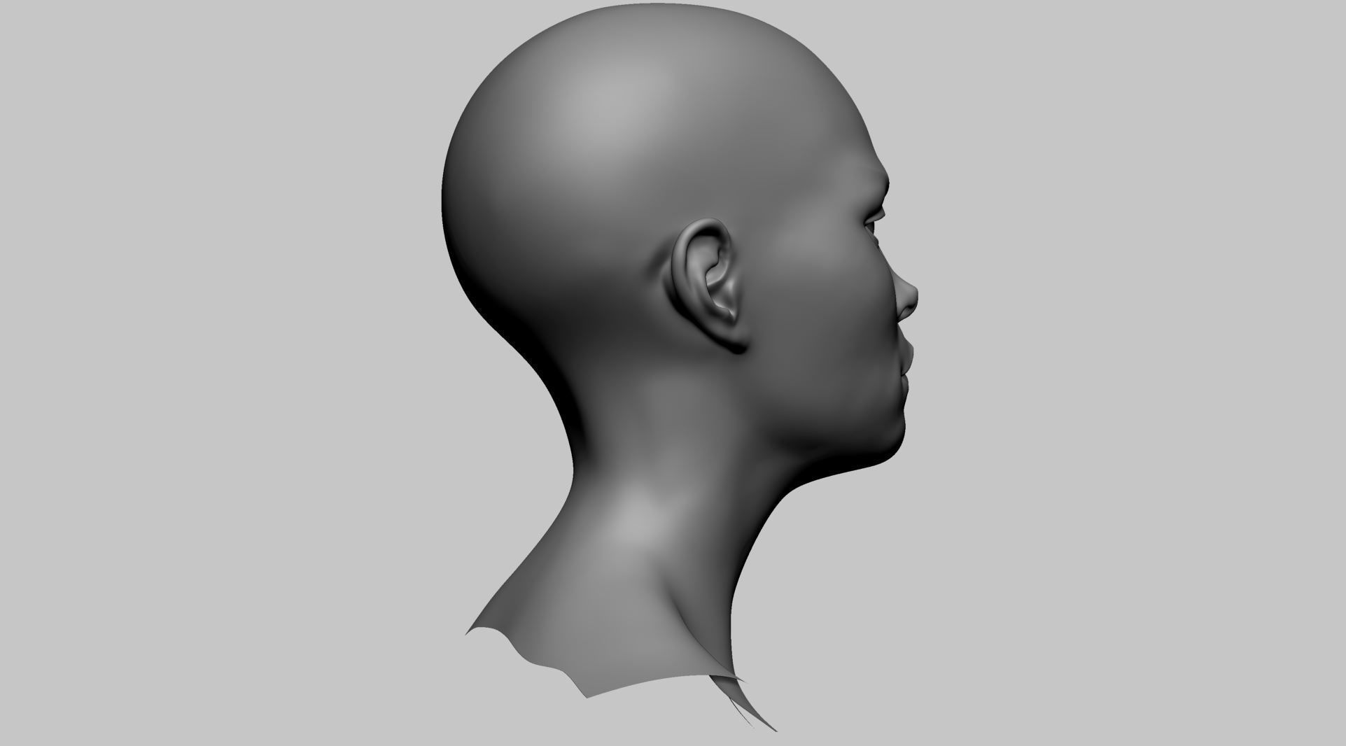Stylized Head Basemesh A 3D model_2